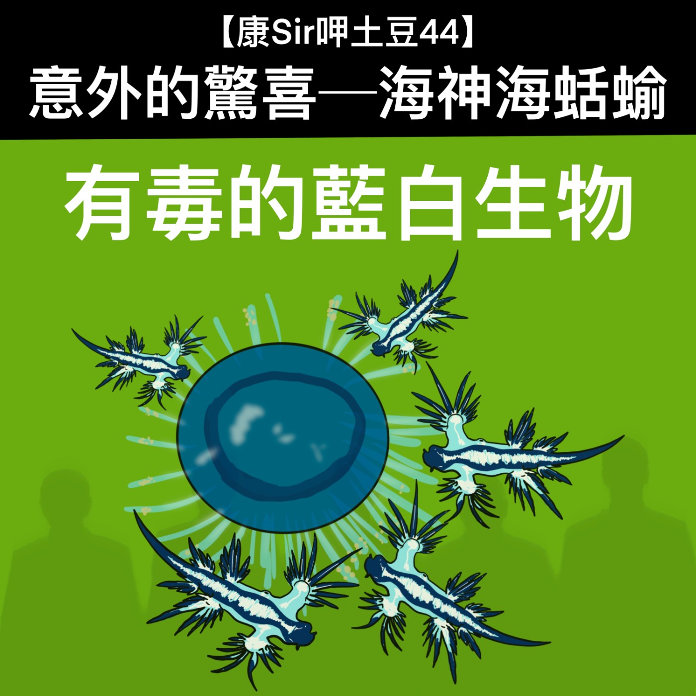 【康Sir呷土豆 44】意外的驚喜-海神海蛞蝓 episode artwork