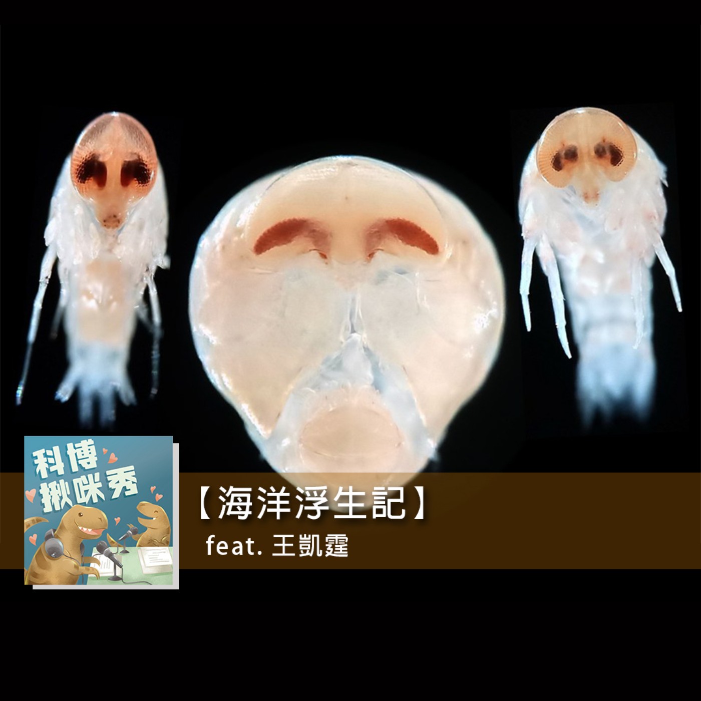 EP.41 海洋浮生記 feat. 王凱霆 aka 海陸無敵通