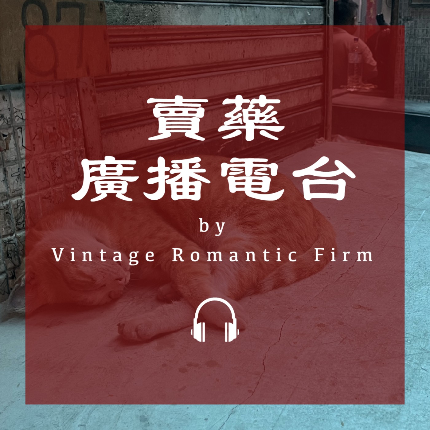 菜市場特輯EP11｜【賣藥廣播電台】台語、方言、歌曲、跳舞時代(紀錄片) episode artwork