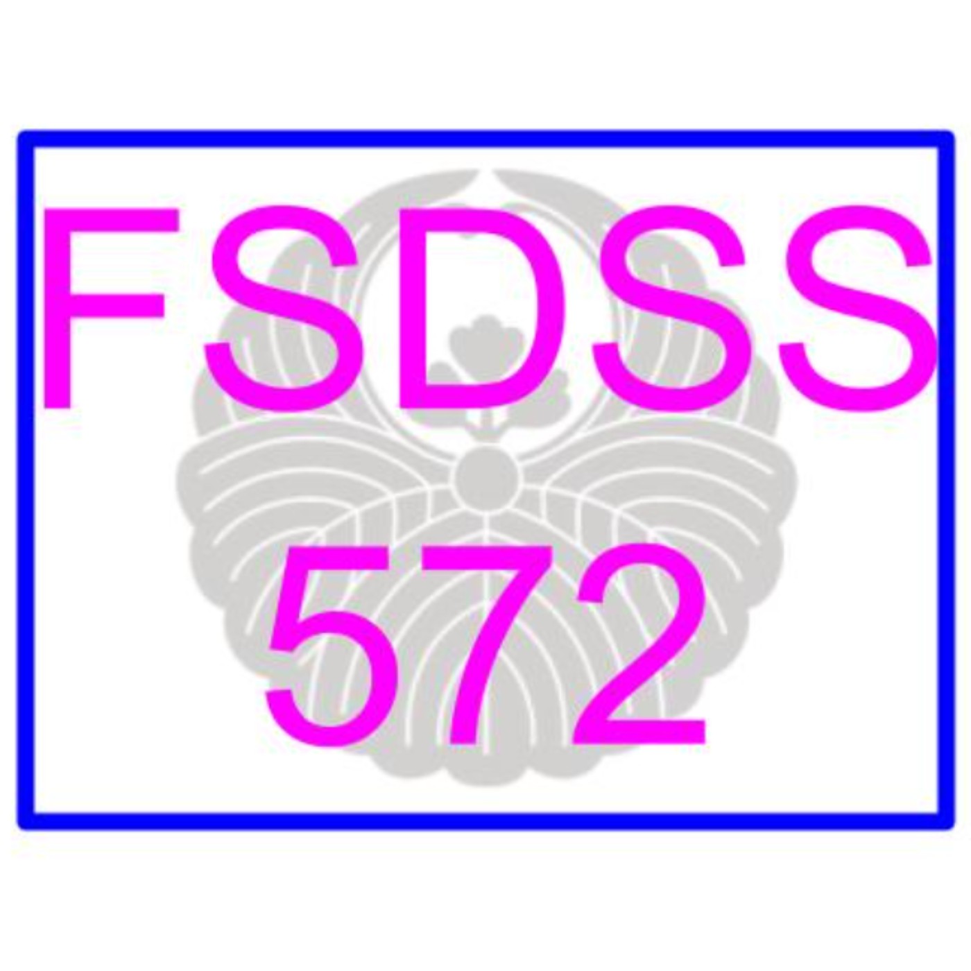 𓀬Road No.23 FSDSS-572 天使もえ〖「私と一緒にキメようよ…」人妻からの甘い誘いに乗せられて田舎に伝わる秘伝の媚薬で互いに高まる禁斷セックス〗