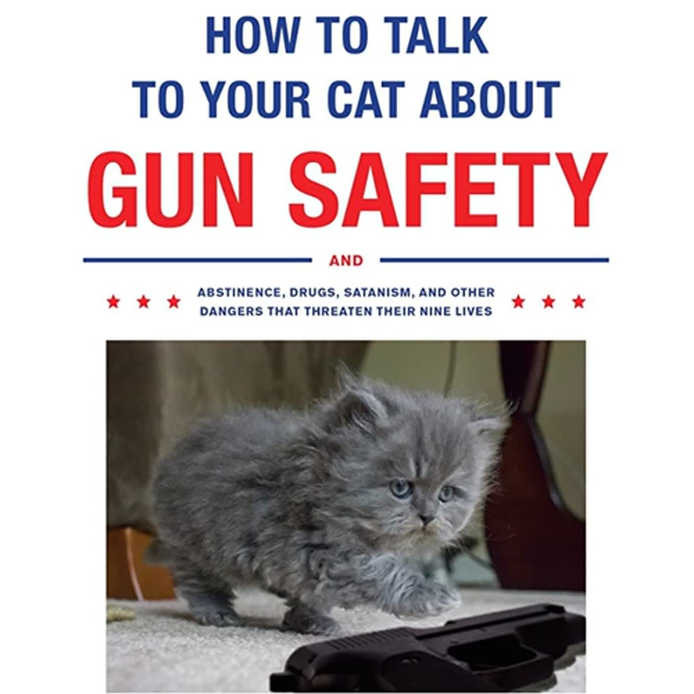 重磅一頁書 EP.30 《如何跟你的貓談論槍枝安全？》美國經典難題的嚴肅惡搞之書