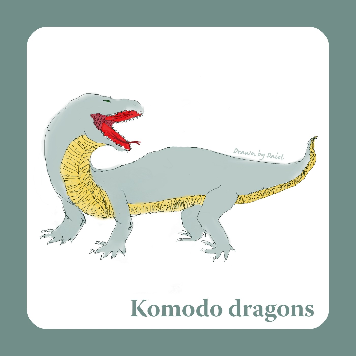 EP01 還存活的有毒恐龍-科摩多巨蜥 Komodo dragons