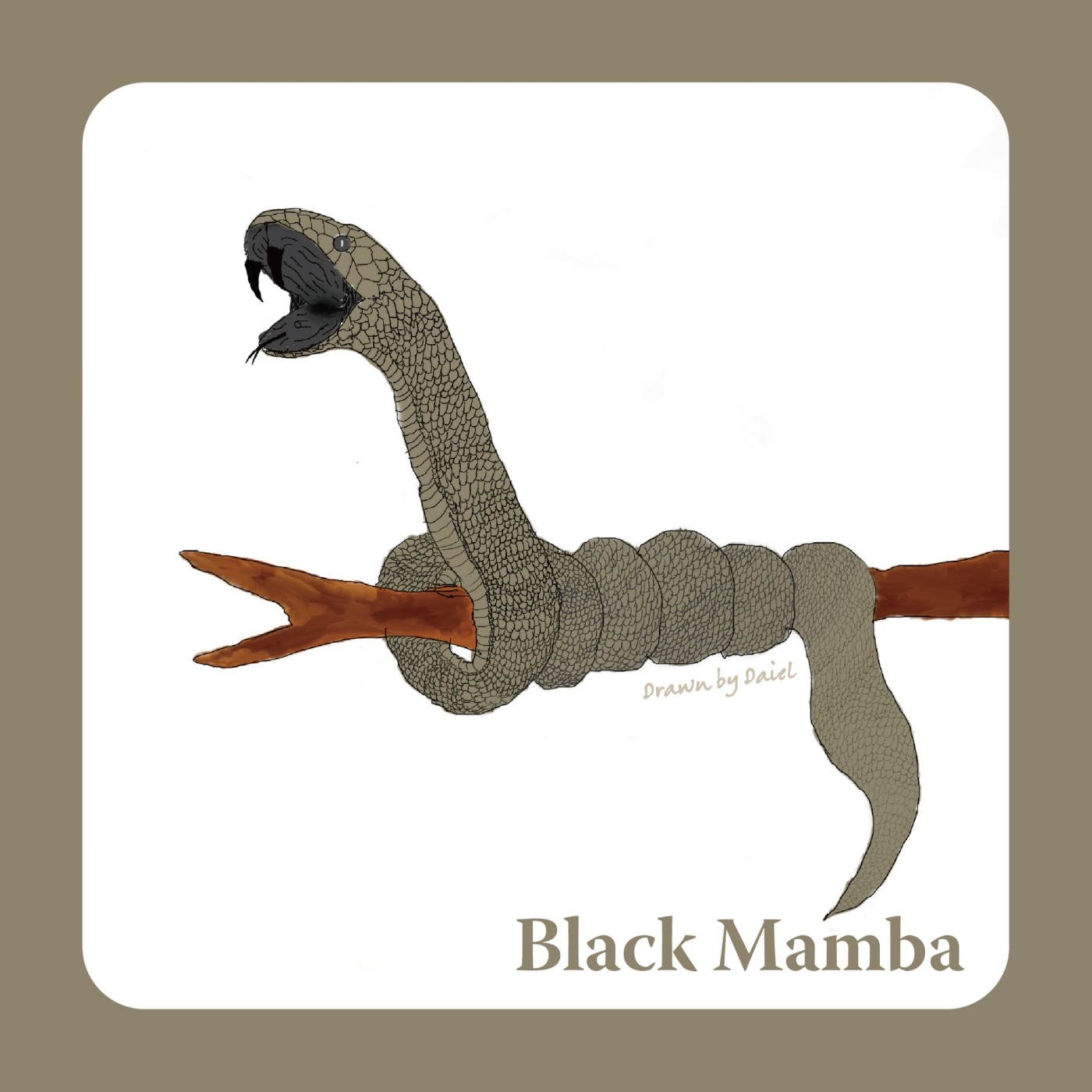 EP02 黑色嘴巴的黑曼巴蛇 Black Mamba