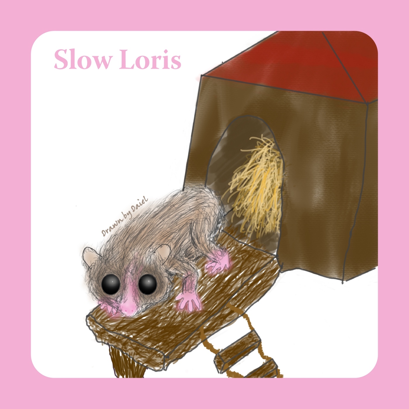 EP03 可憐的瀕危物種-懶猴 Slow Loris