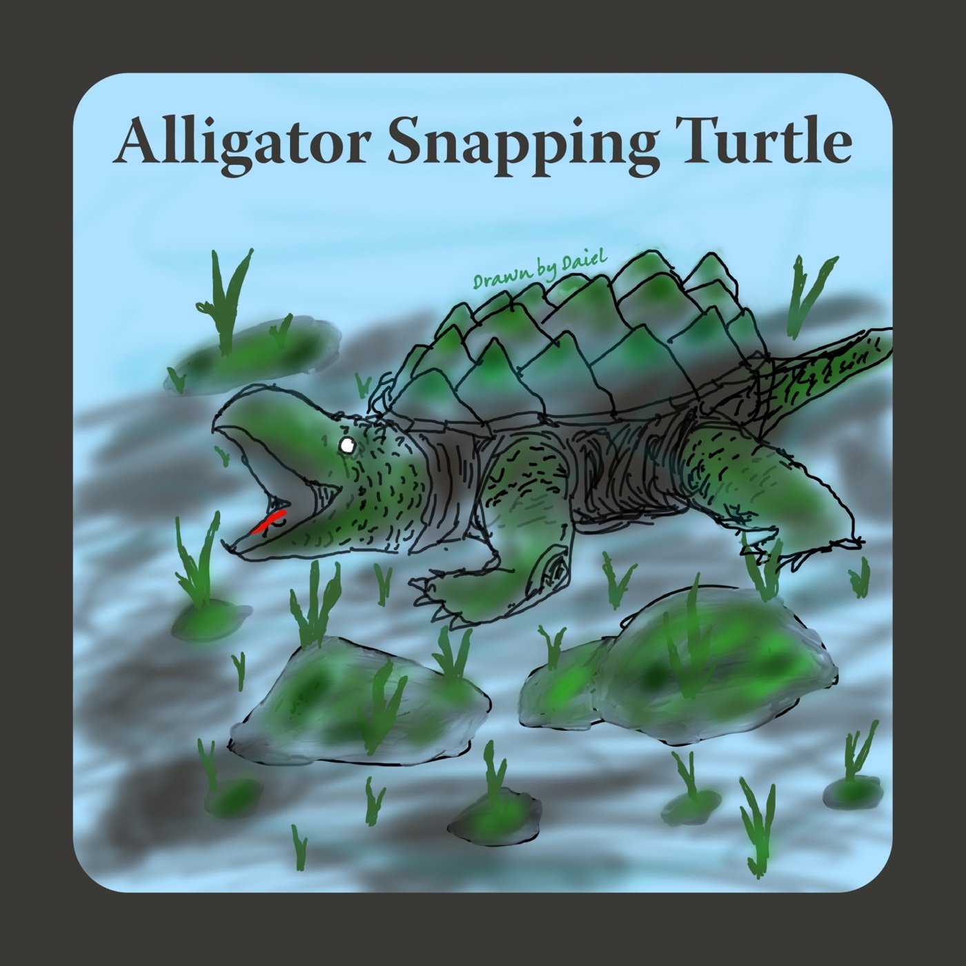 EP04 是入侵也是瀕危的鱷龜 Alligator Snapping Turtle
