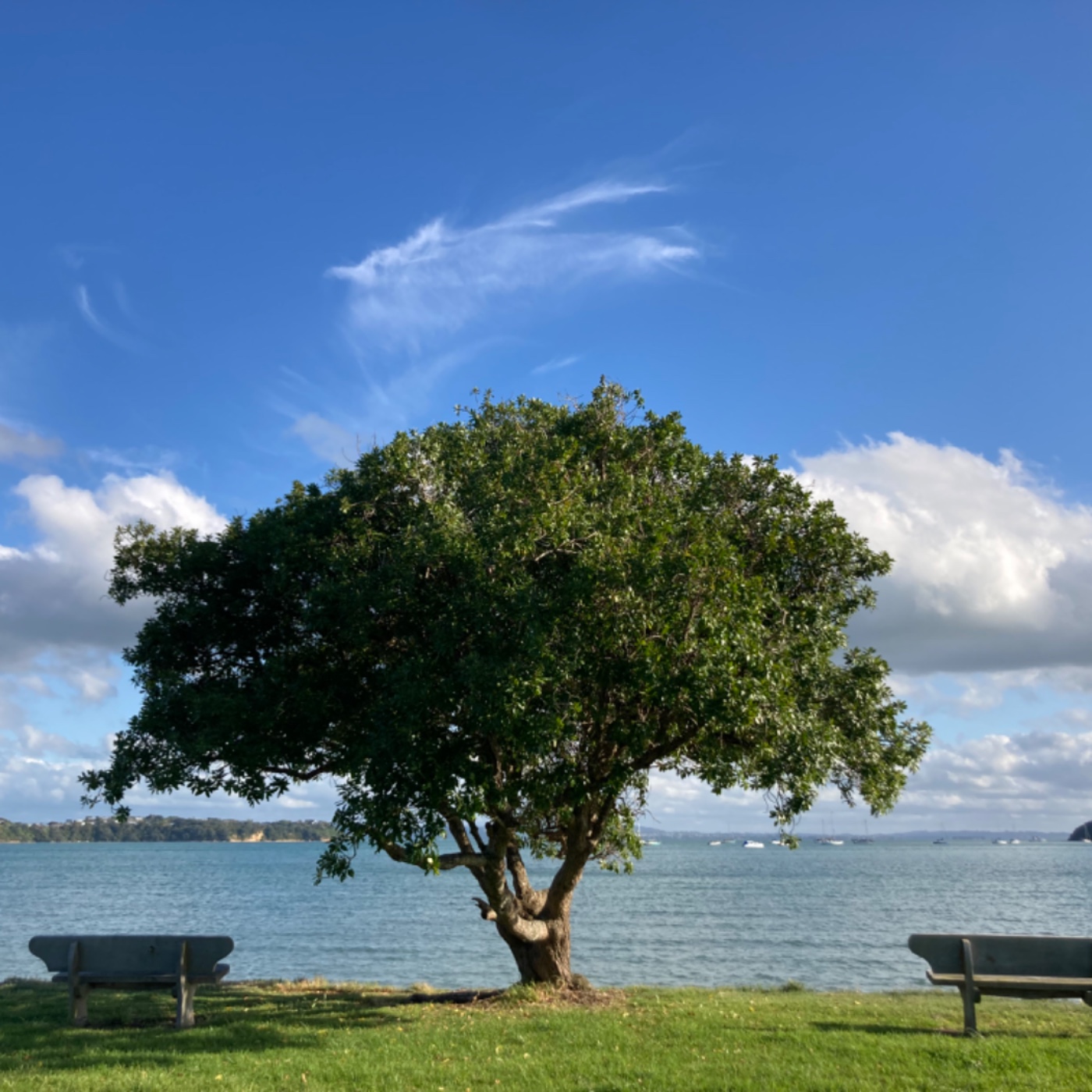 海浪漂流日記 Hazel in the sea