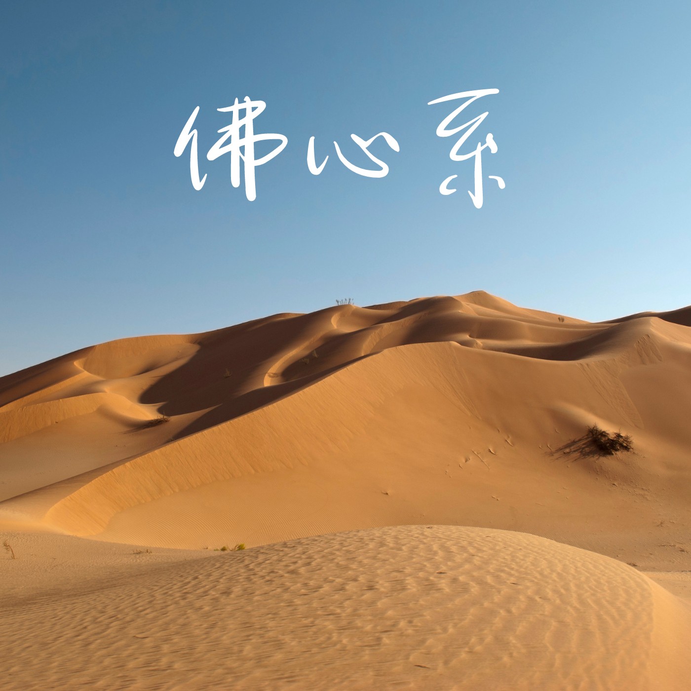 佛心系