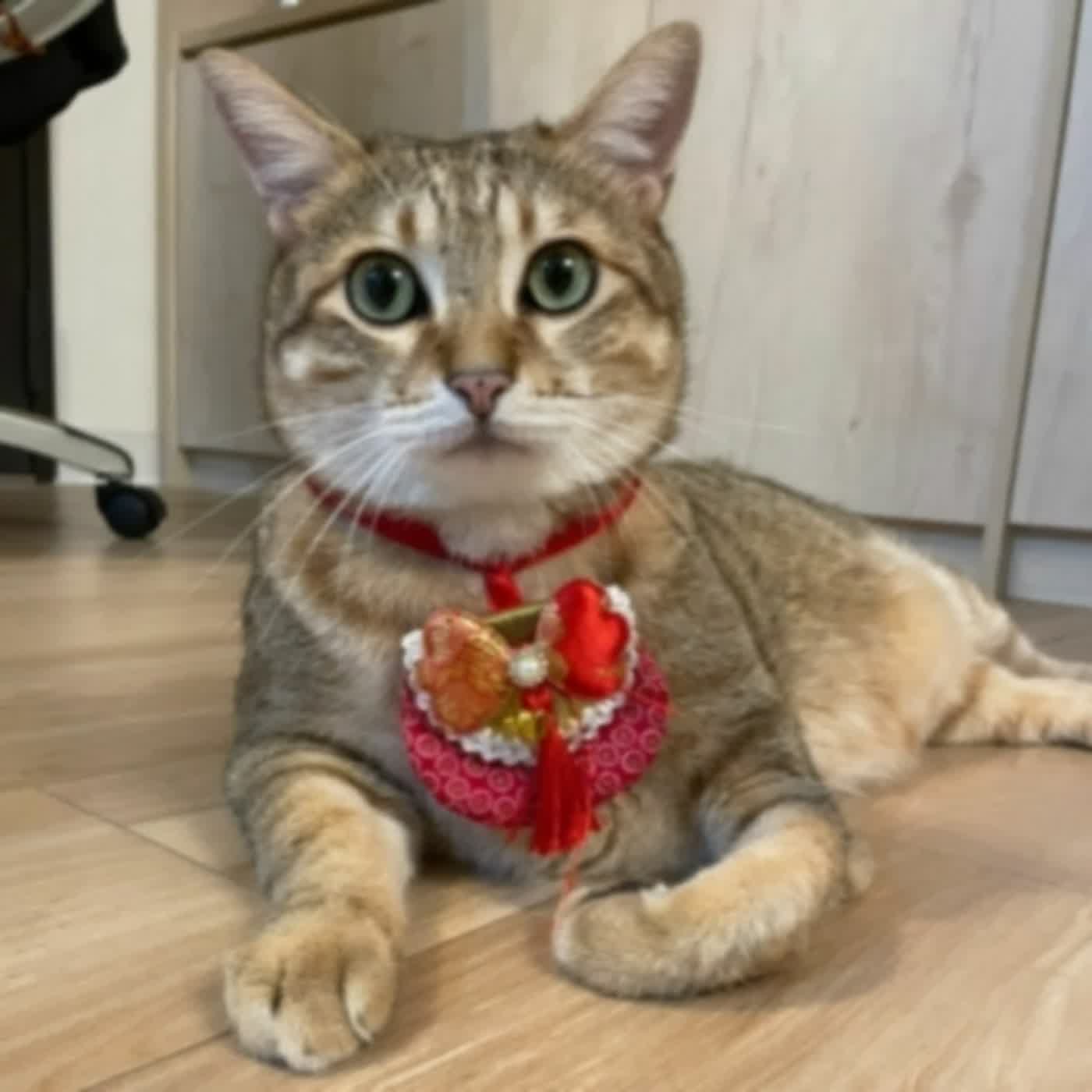 【2022虎年】初四之好好吃一頓早餐吧