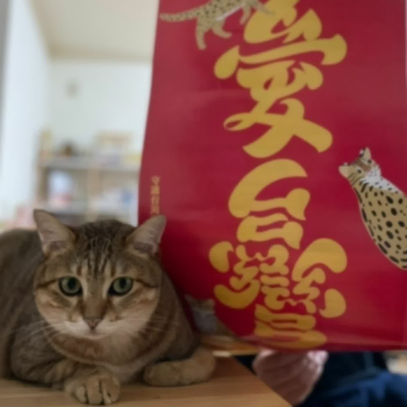 【2022虎年】初一之宜蘭七號開運法！好好洗頭吧！