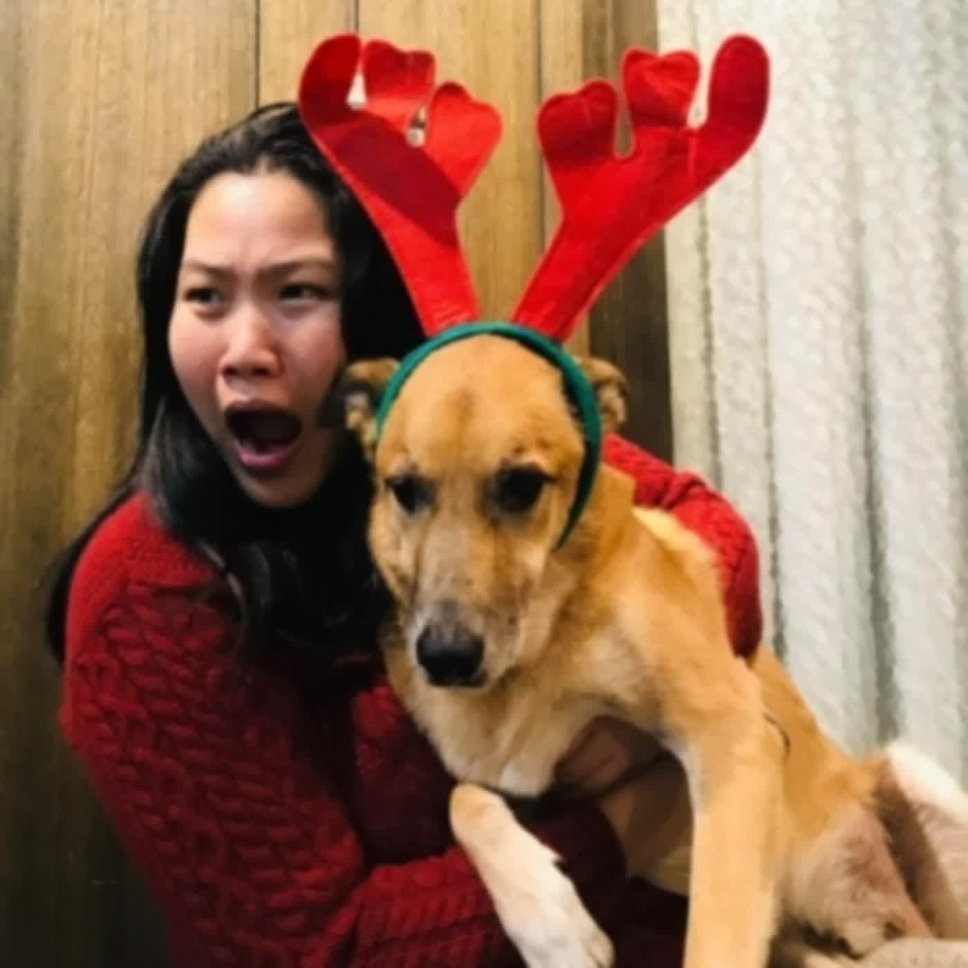 EP.296 B面 | 消失在天母的飲食回憶、答覆聽友的節目意見、下棋老王向大家道賀