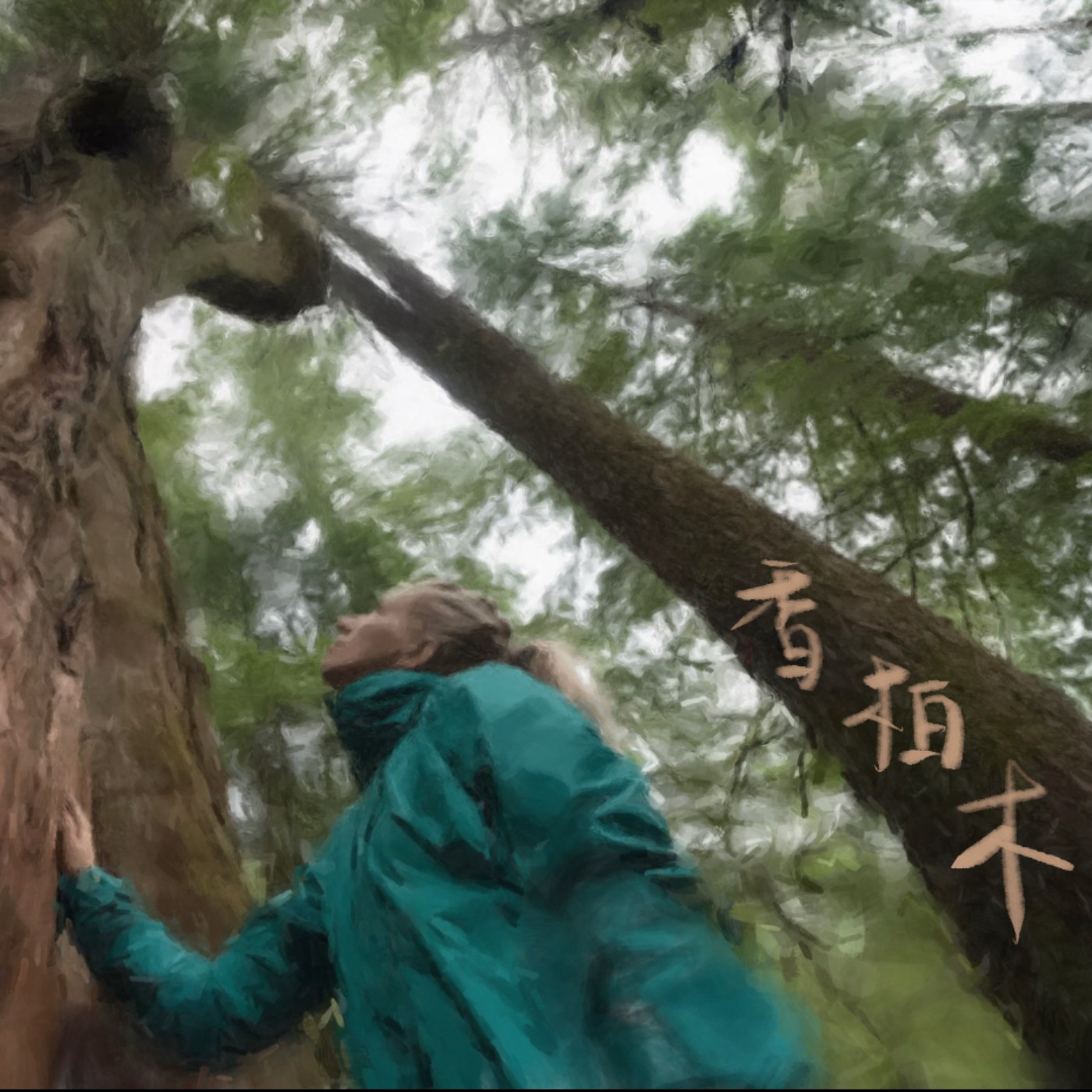 香柏木 episode artwork