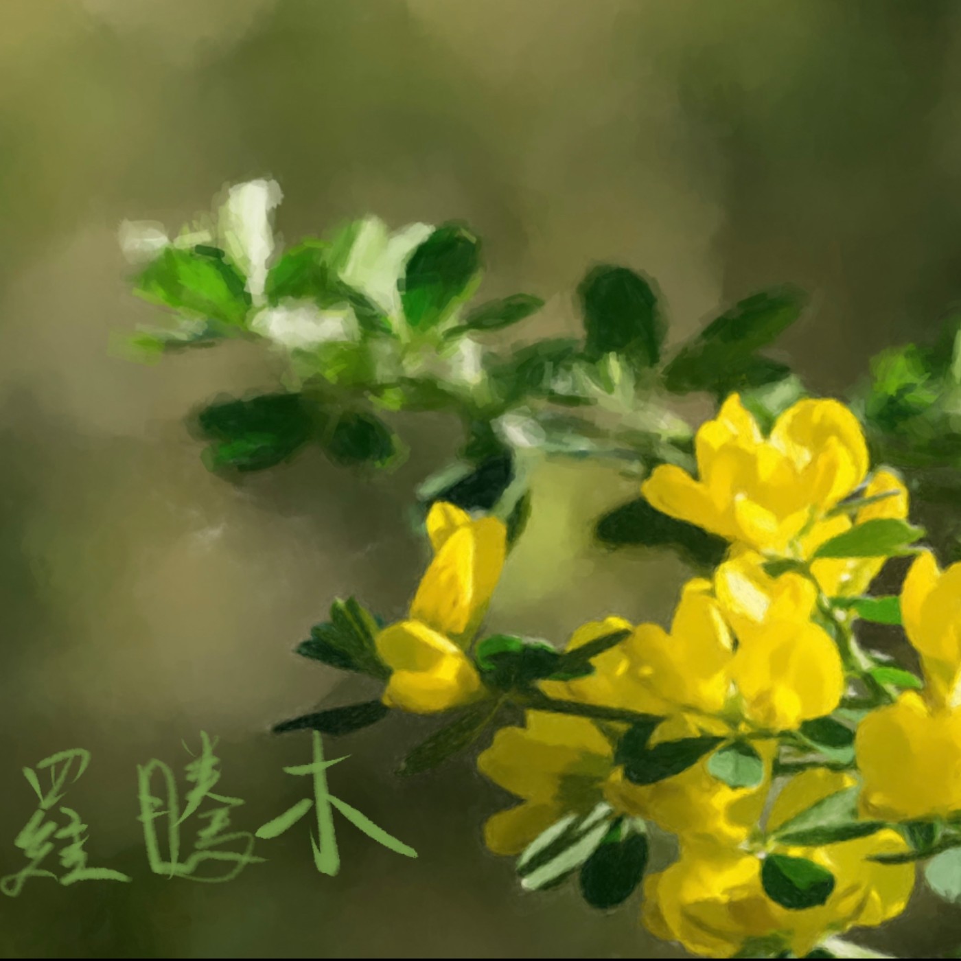 羅騰木 episode artwork