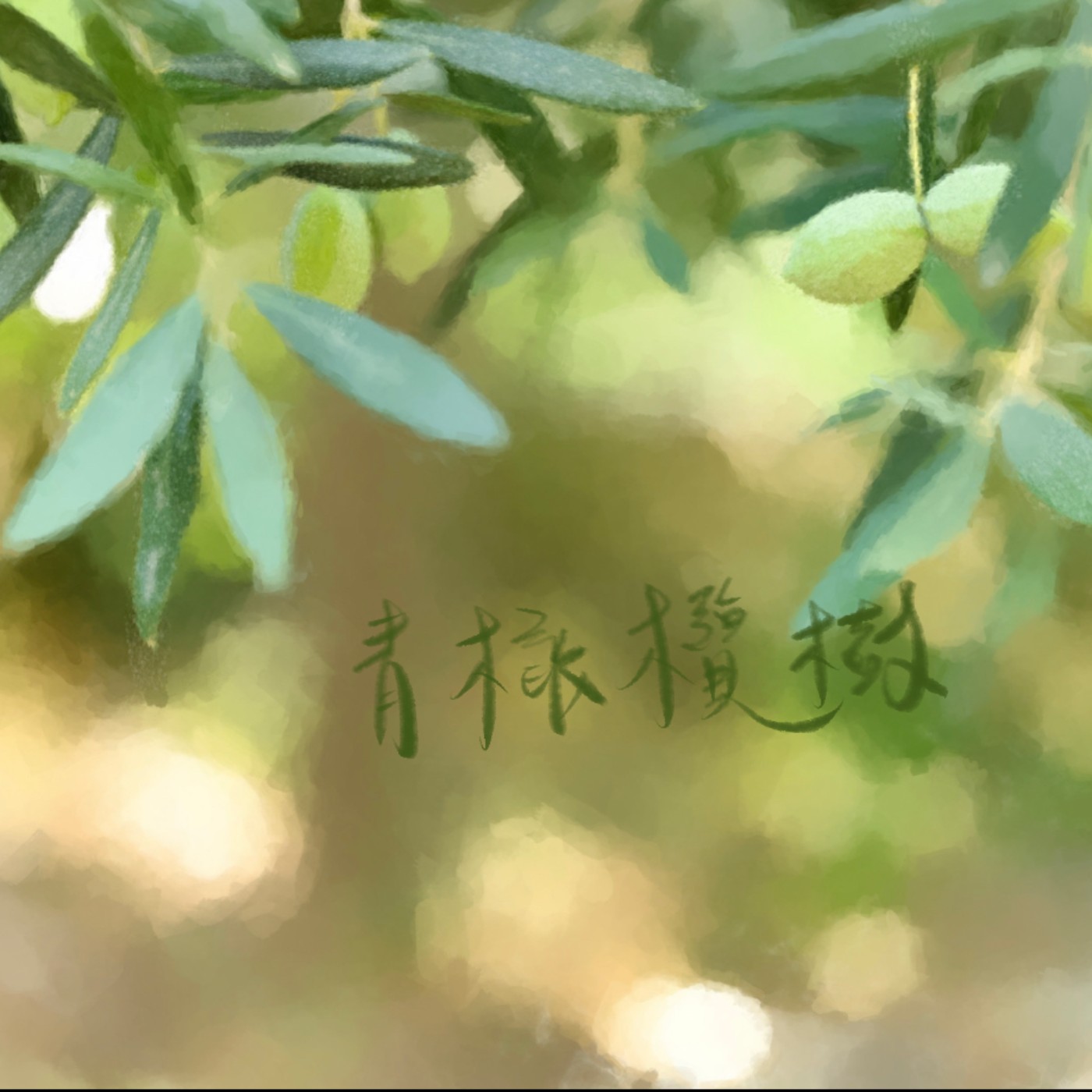青橄欖樹 episode artwork
