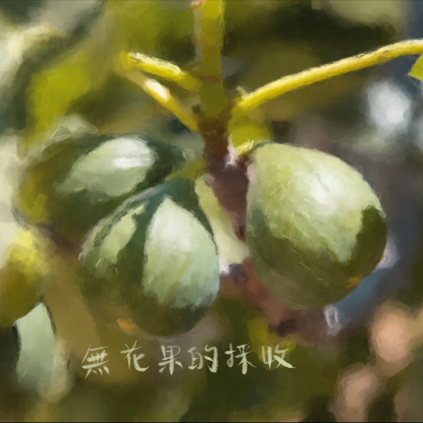 無花果的採收 episode artwork