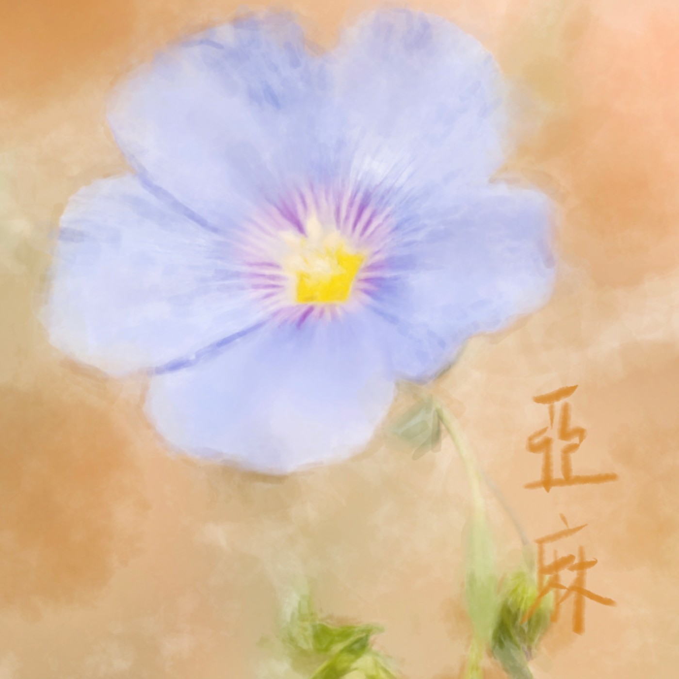亞麻 episode artwork