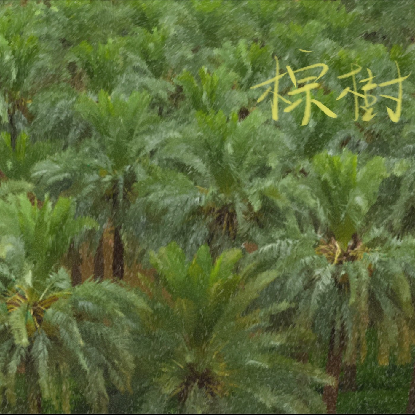 棕樹 episode artwork