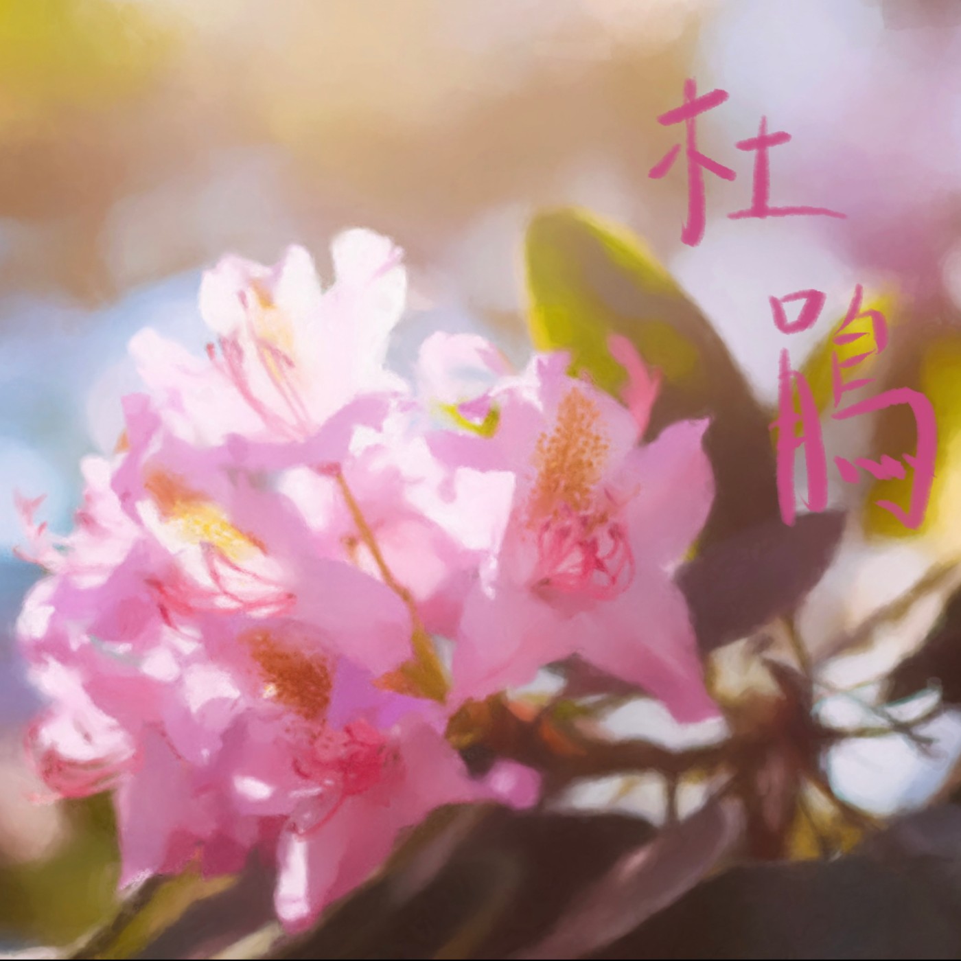 杜鵑 episode artwork