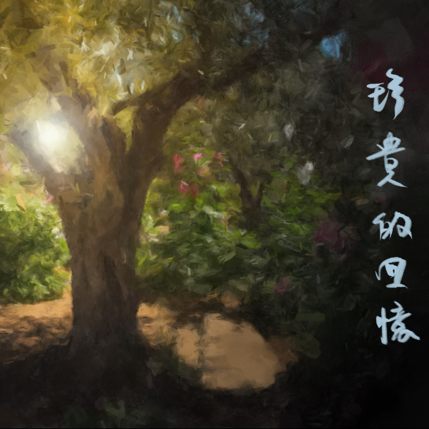 珍貴的回憶 episode artwork