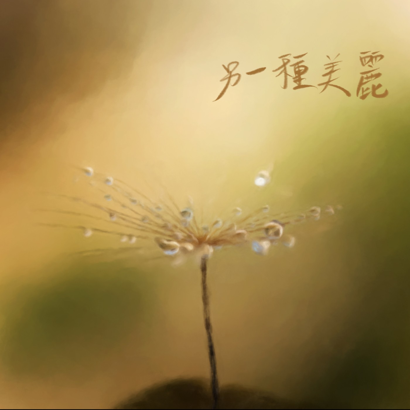 另一種美麗 episode artwork
