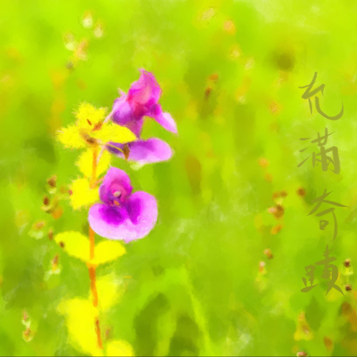 充滿奇蹟 episode artwork