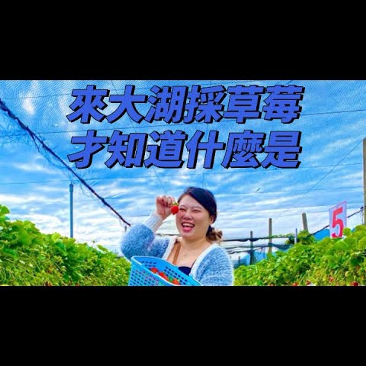 不酸的草莓🍓才是草莓自由
