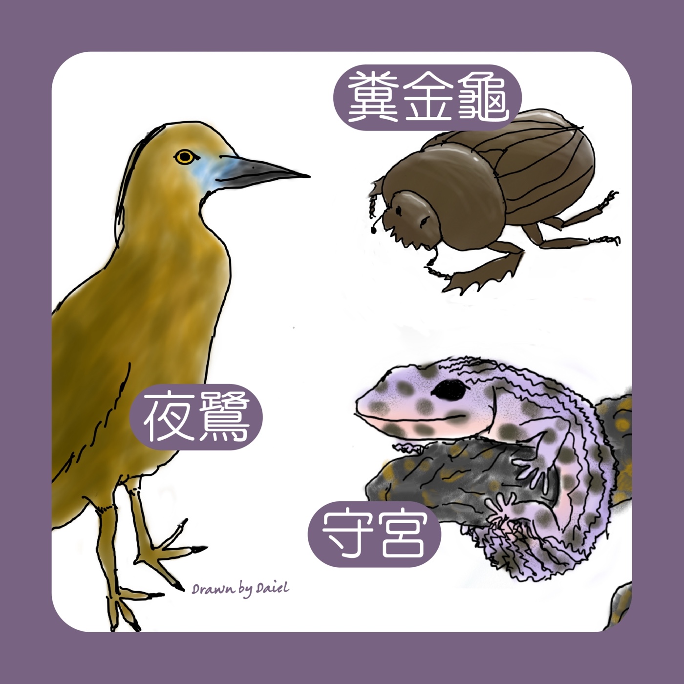 EP08 訪談 I 小毛老師認識的各種生物
