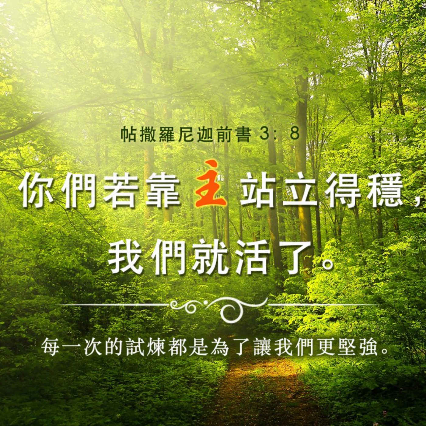 帖撒羅尼迦前書三章6-13節 episode artwork