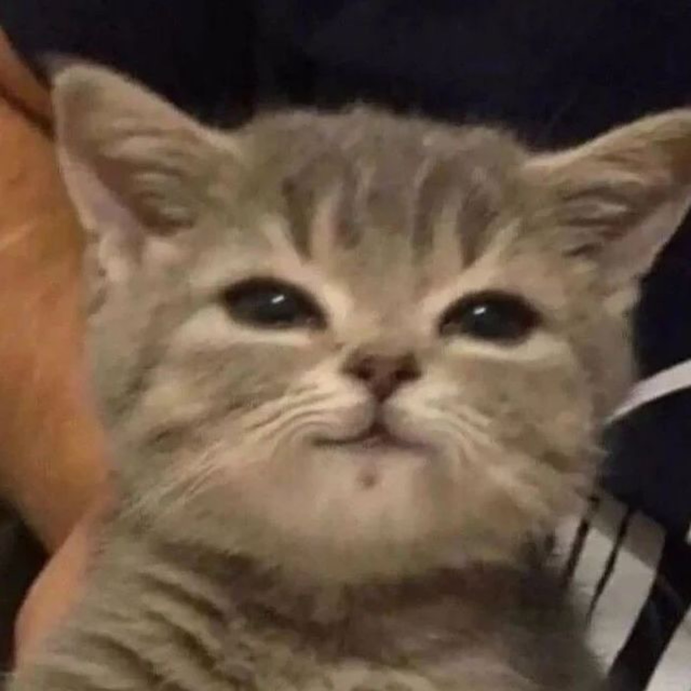 EP4 他們都過得很好