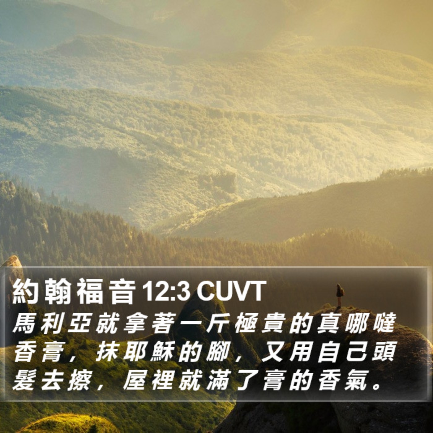 走向各各他 episode artwork
