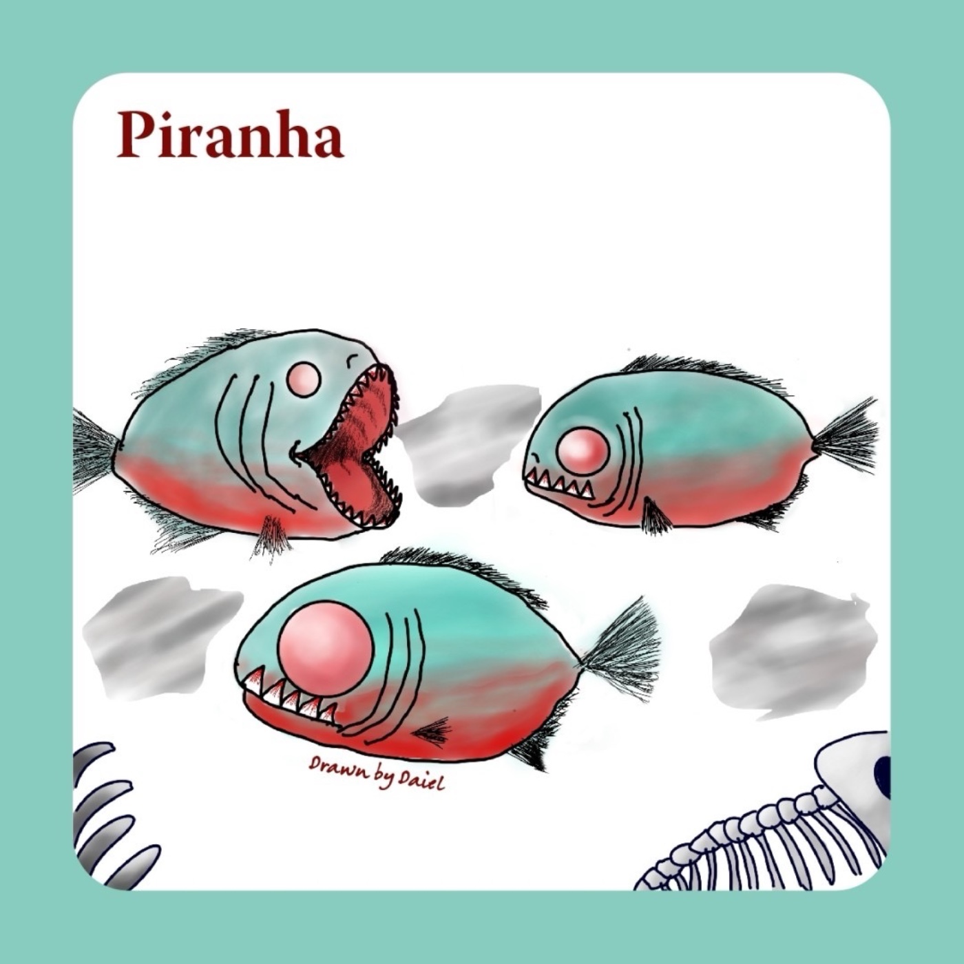 EP11 人類也覺得美味的食人魚 Piranha episode artwork