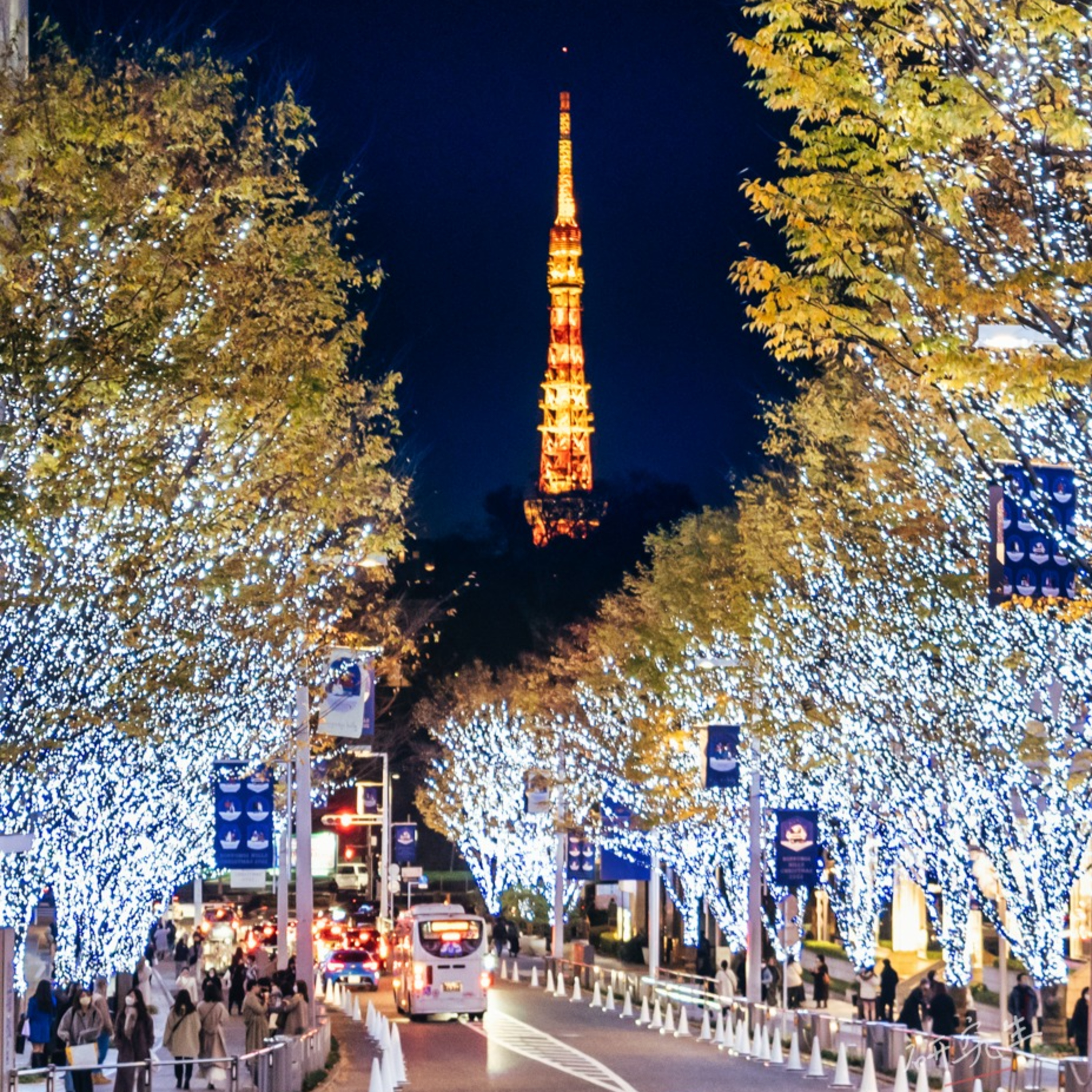 第220回｜探索冬日東京：聖誕燈海迷人景點TOP5！