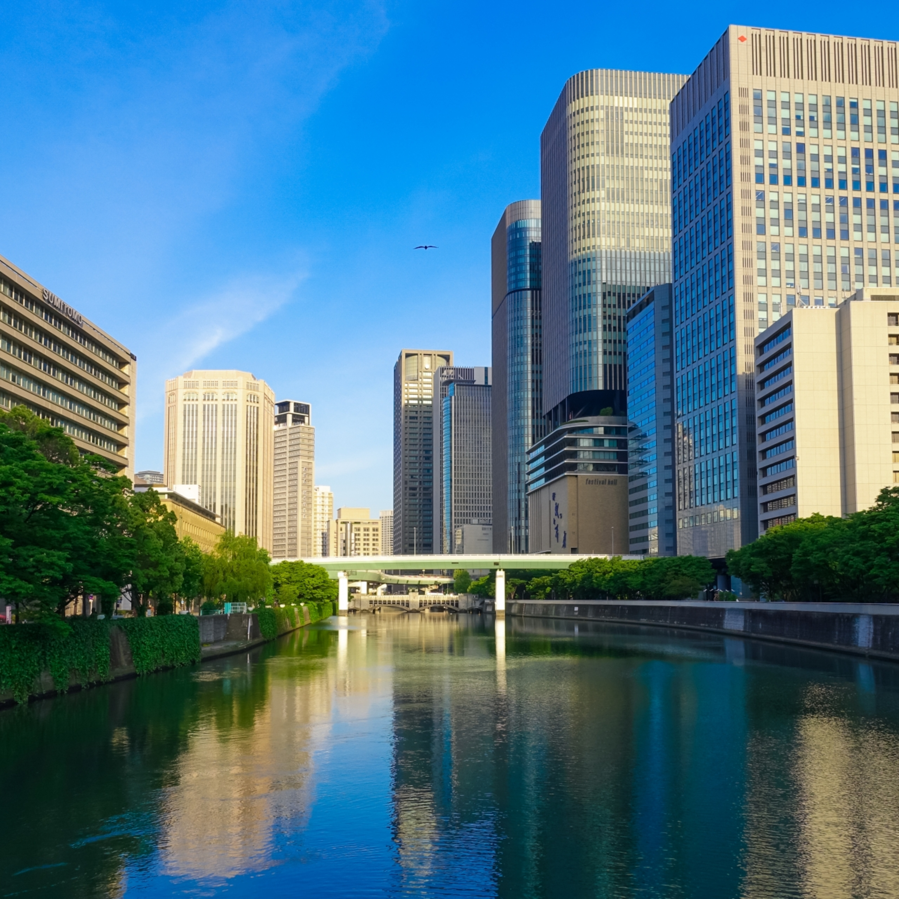 第211回｜達人帶路！大阪私房景點三選，今天不走觀光路線！feat. 阿拋