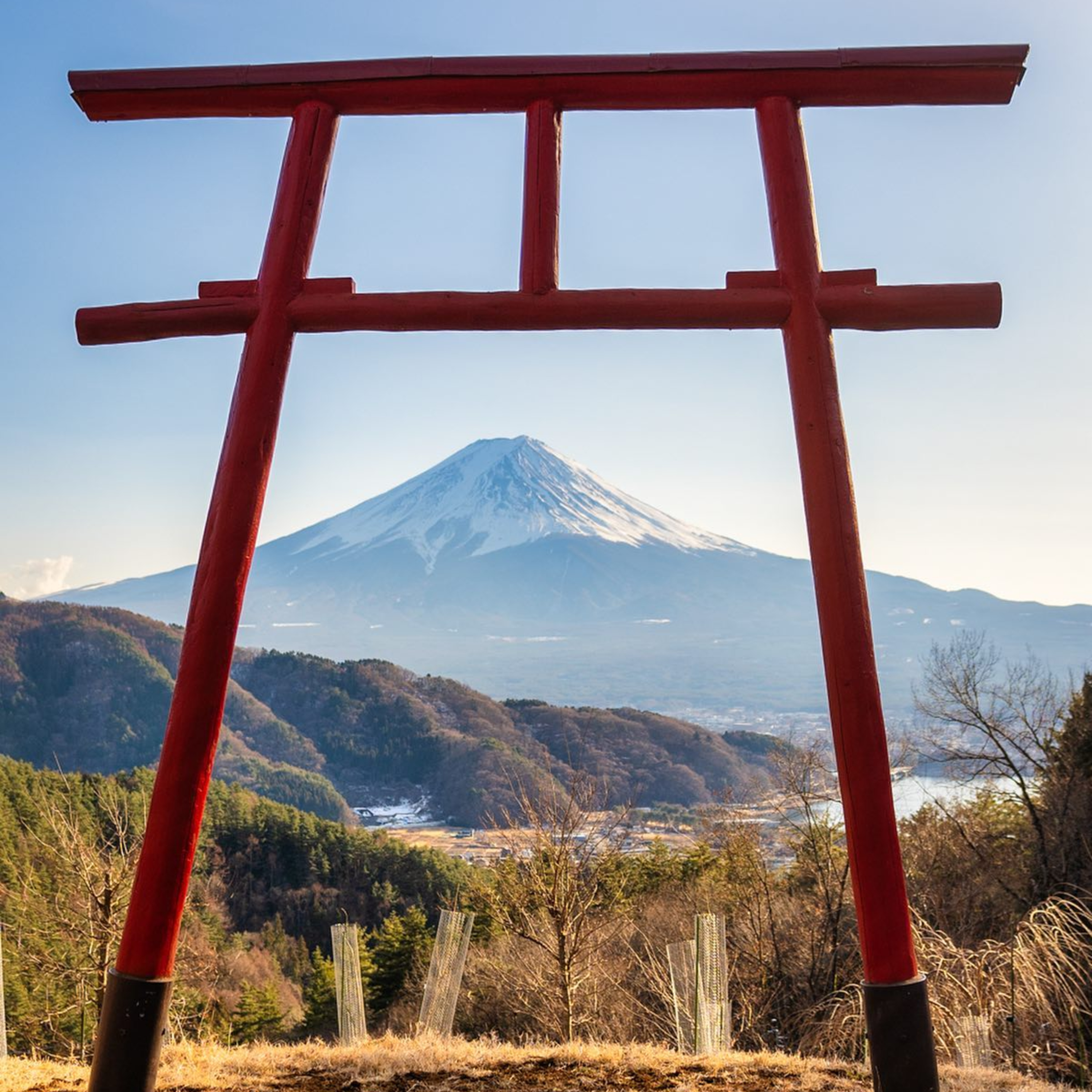 第205回｜看富士山的季節來啦！河口湖、富士吉田五大絕美觀景點！