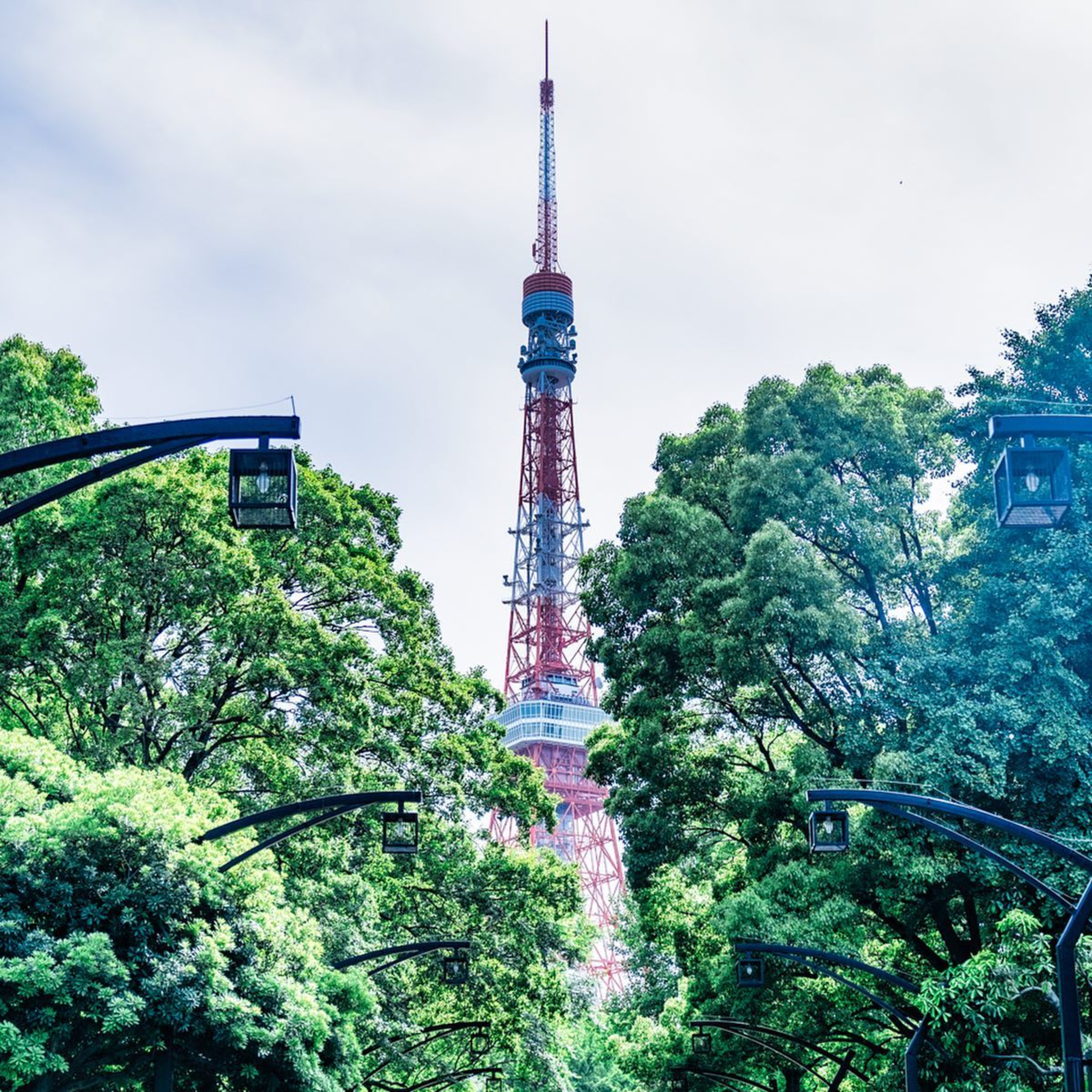 第170回｜拍東京鐵塔的絕佳地點！攝影秘訣大公開（上）