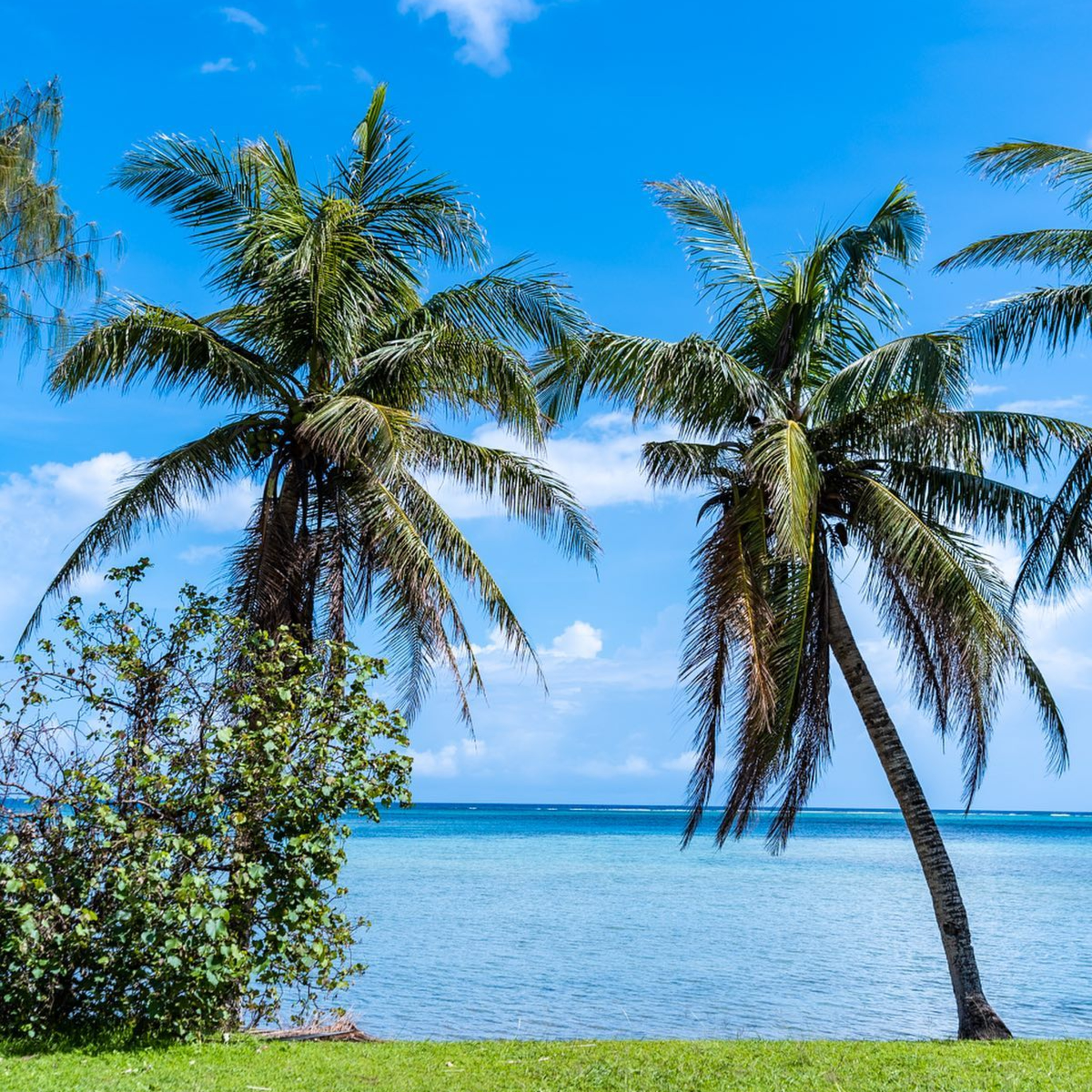 【週末不聊日本】#4 關島奇遇記