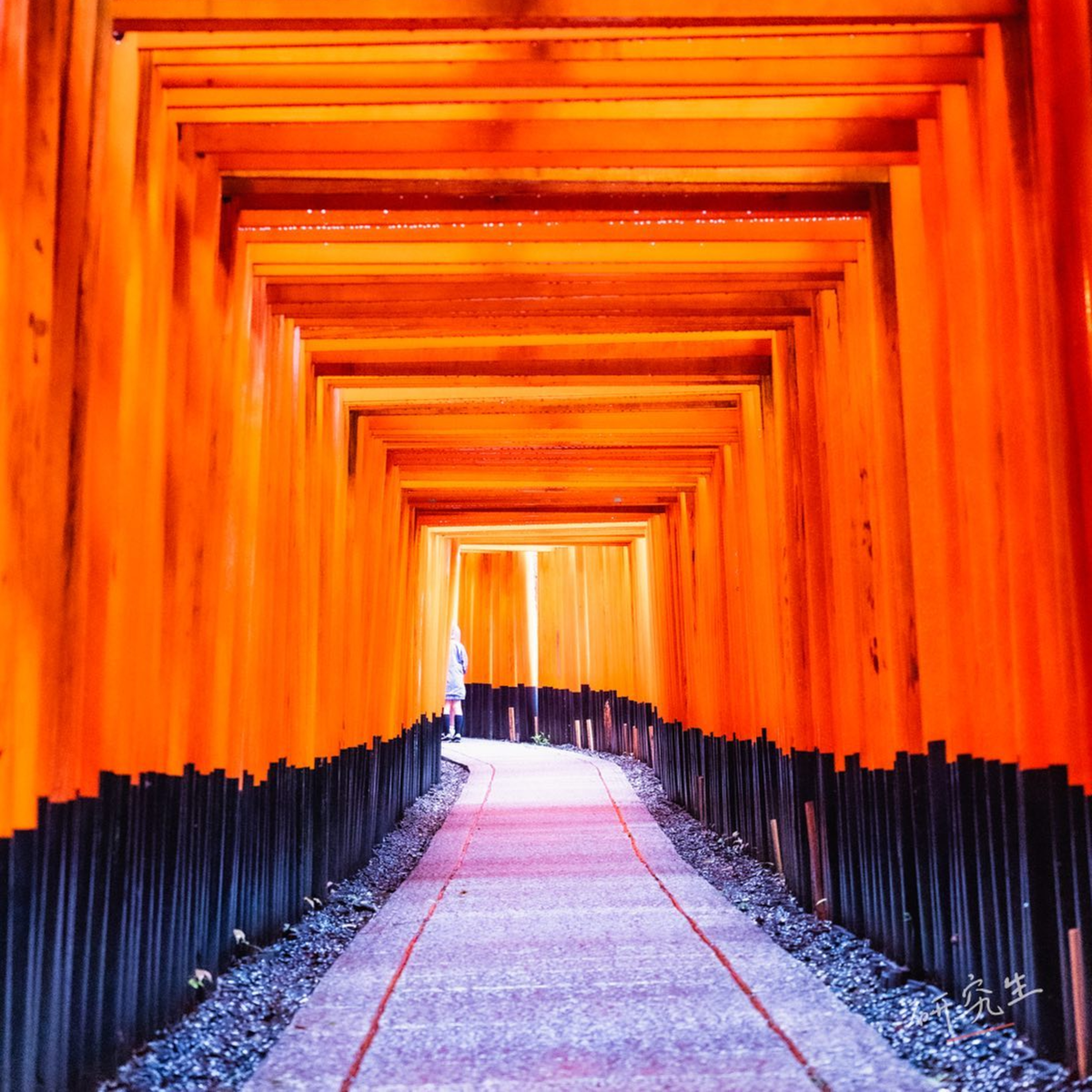 第131回｜千本鳥居的秘密揭曉！伏見稻荷大社參拜路線全攻略！
