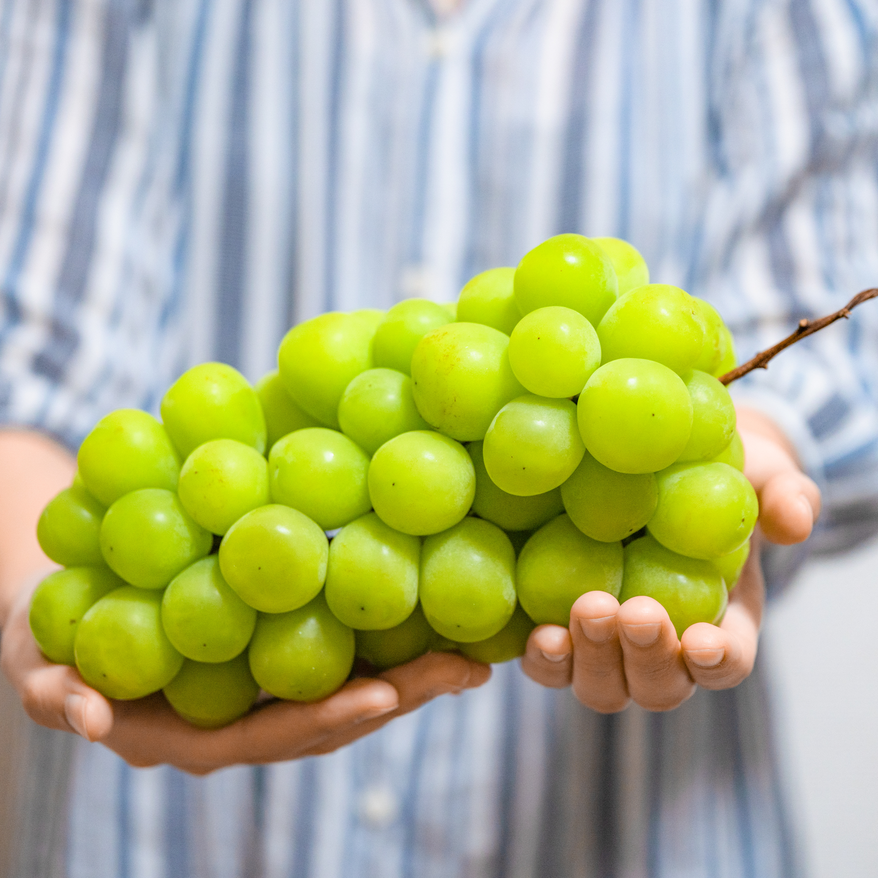 第107回｜日本「故鄉納稅」揭秘！水果大戰背後的地方政府稅收之爭！