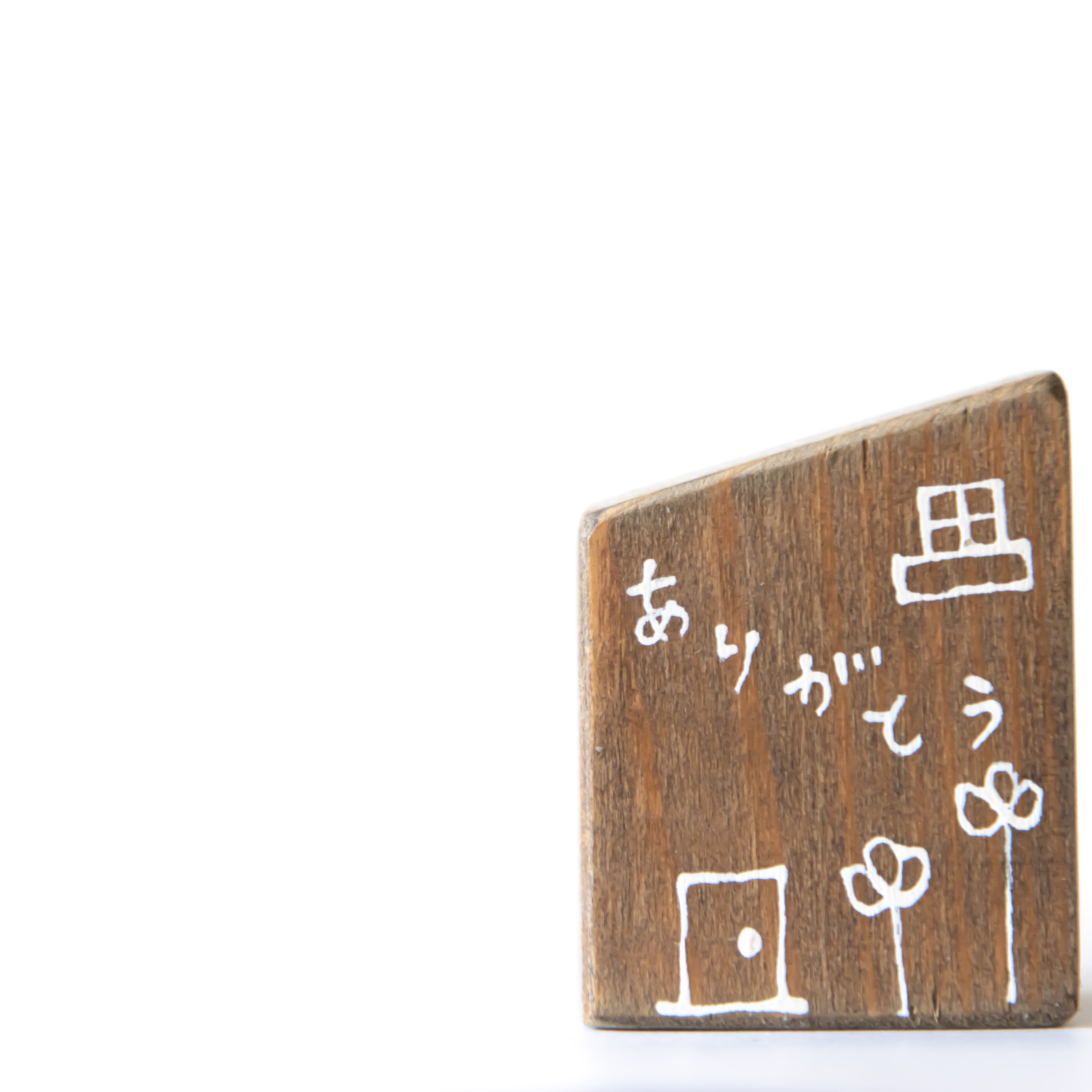 第100回｜《日本大特搜》一百回感謝祭！一起來回顧節目的前世今生！