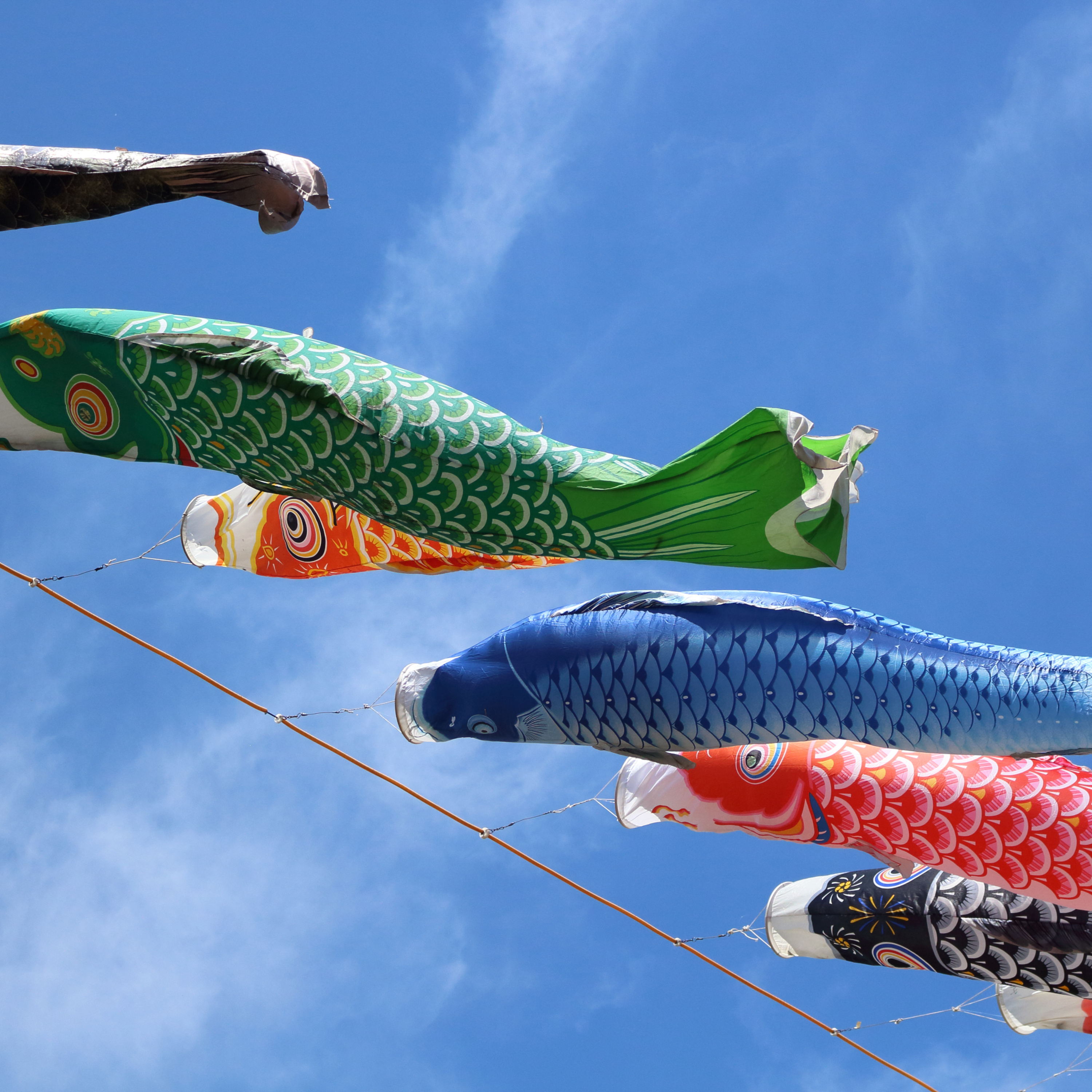 第98回｜日本兒童節與端午節的雙重慶祝！你知道他們為何同日嗎？