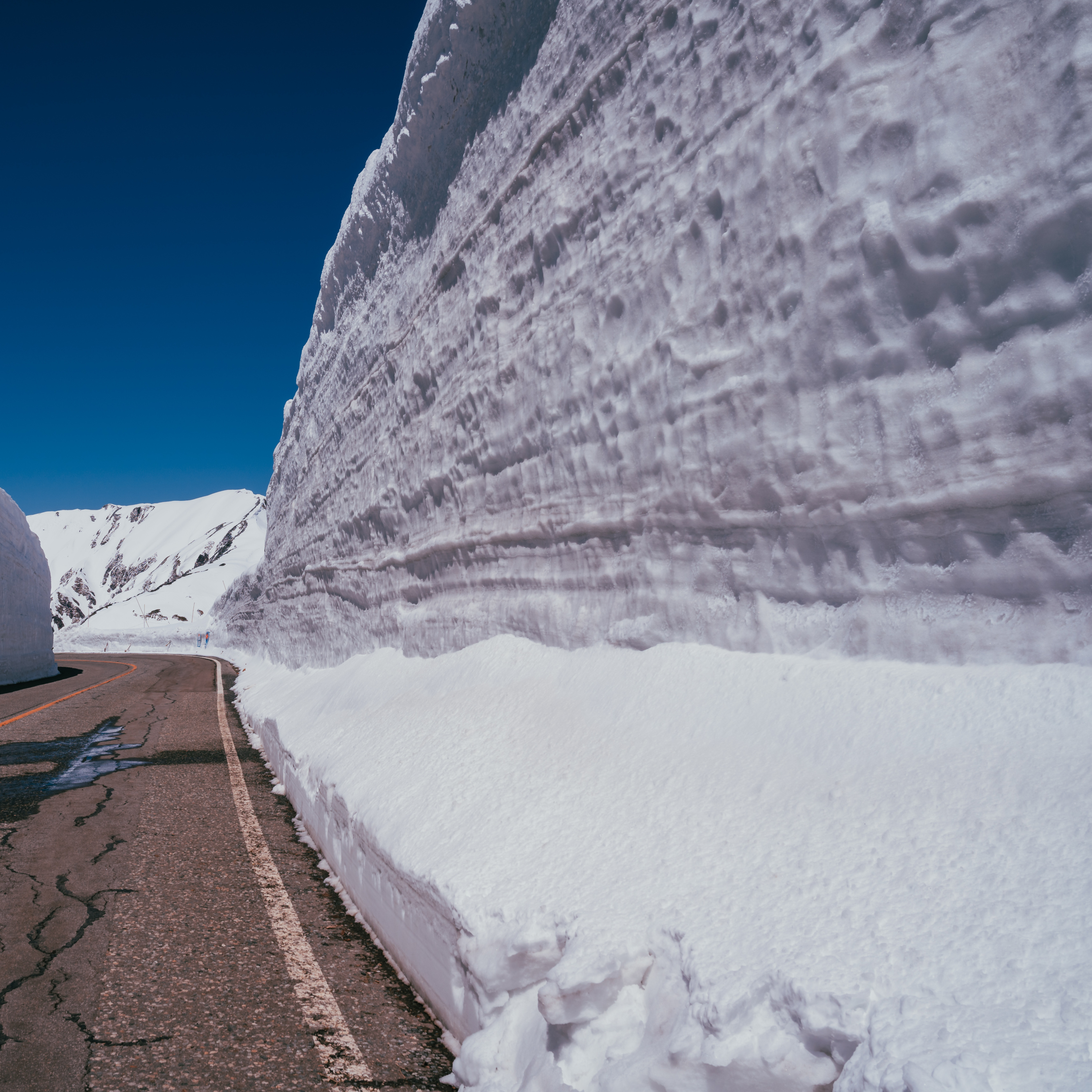 第65回｜黑部立山開山特輯！一生必看的20公尺雪壁，探索經典立山黑部之旅！