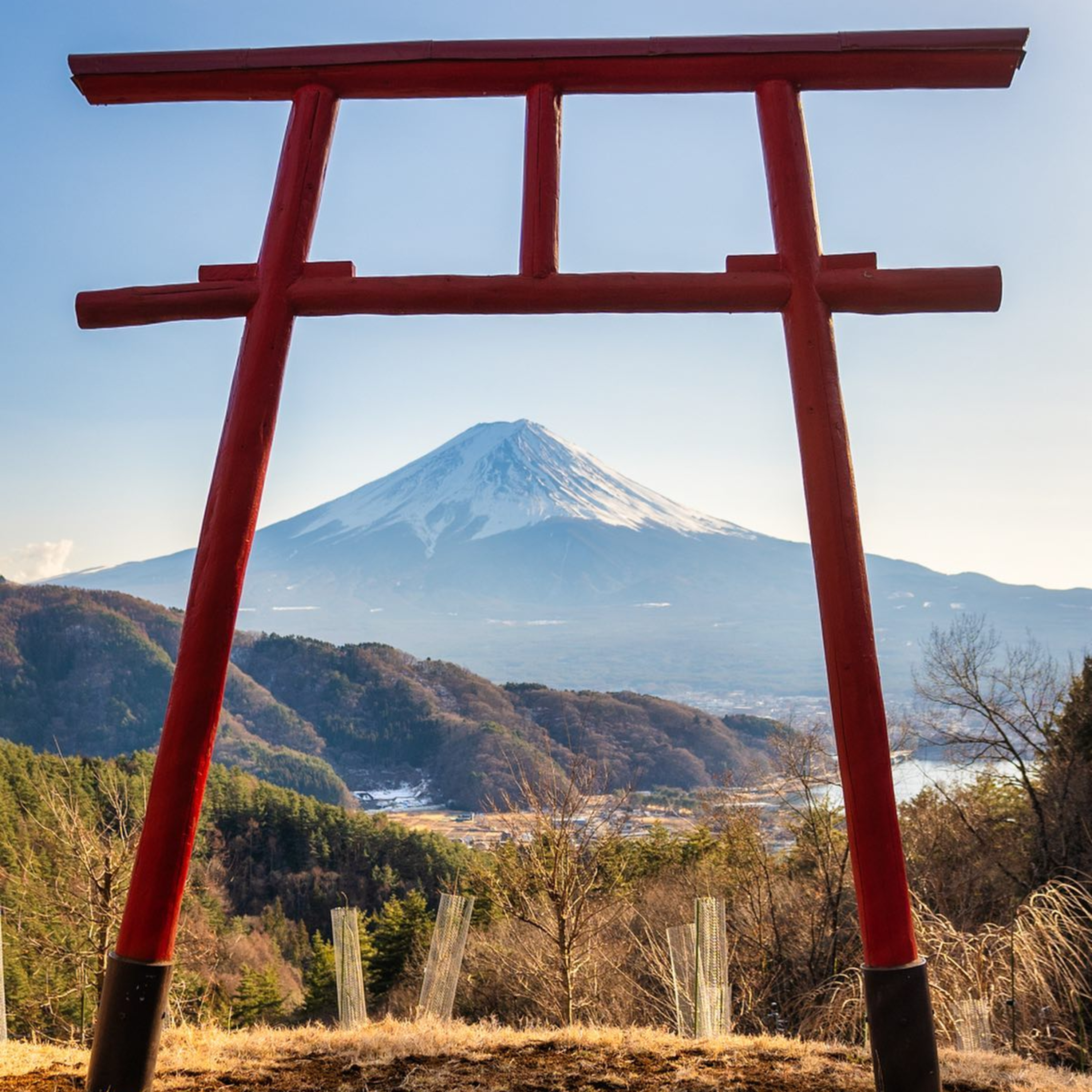 第40回｜冬日富士山五重奏：河口湖之旅，天空鳥居，富士吉田街景，一次看盡！
