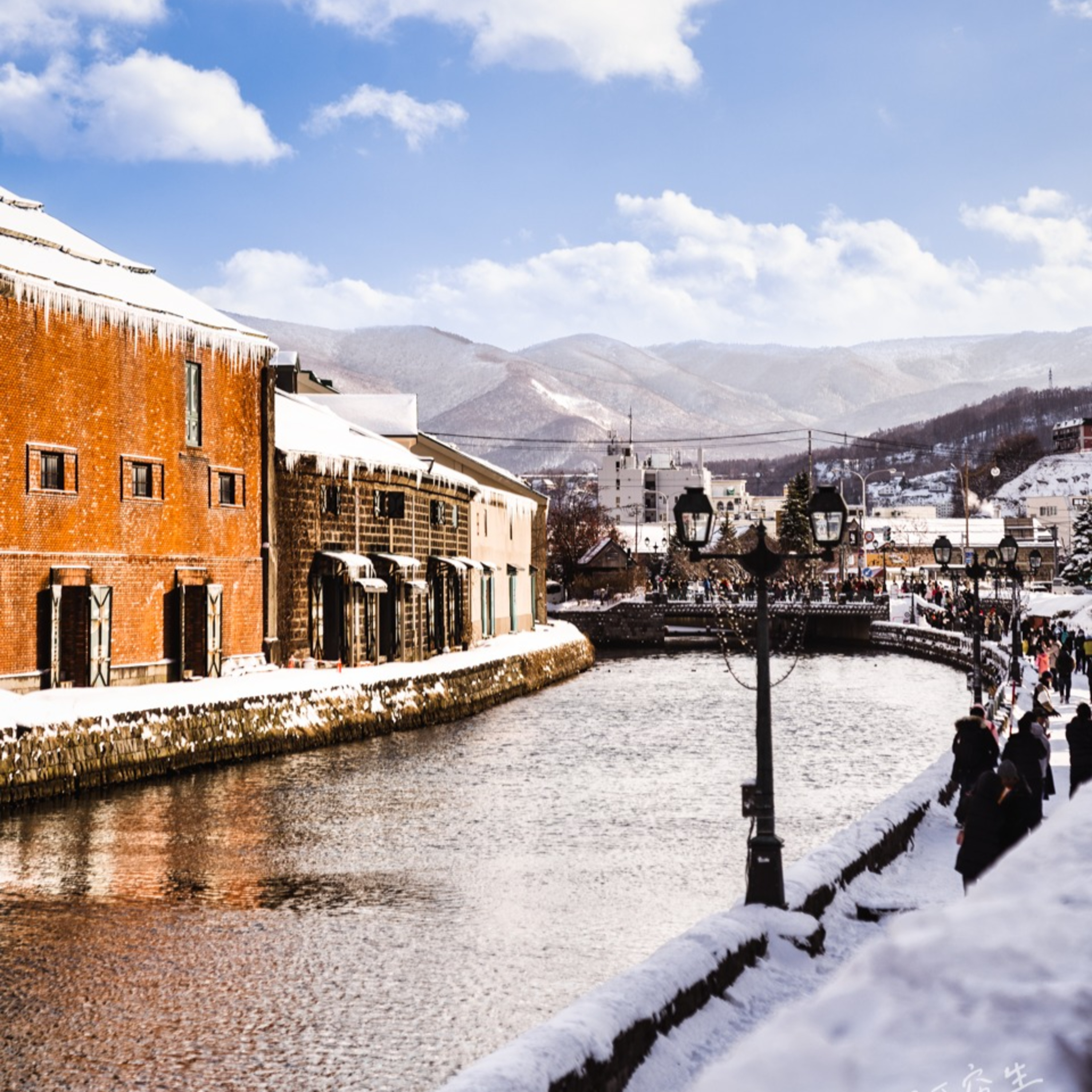 第38回｜北海道五日遊全攻略！札幌、小樽、函館一次看透，不租車也能玩翻天！