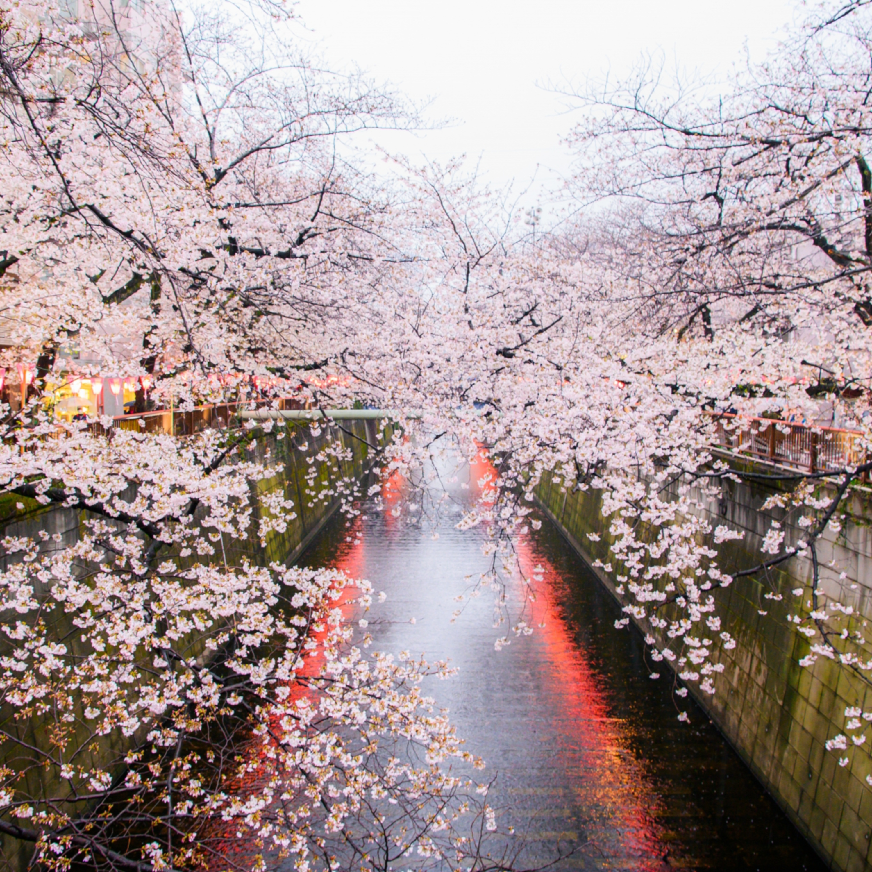 第31回｜旅行作家大頭帶你逛東京：中目黑文青景點五選，一起探索不一樣的東京！feat. dato