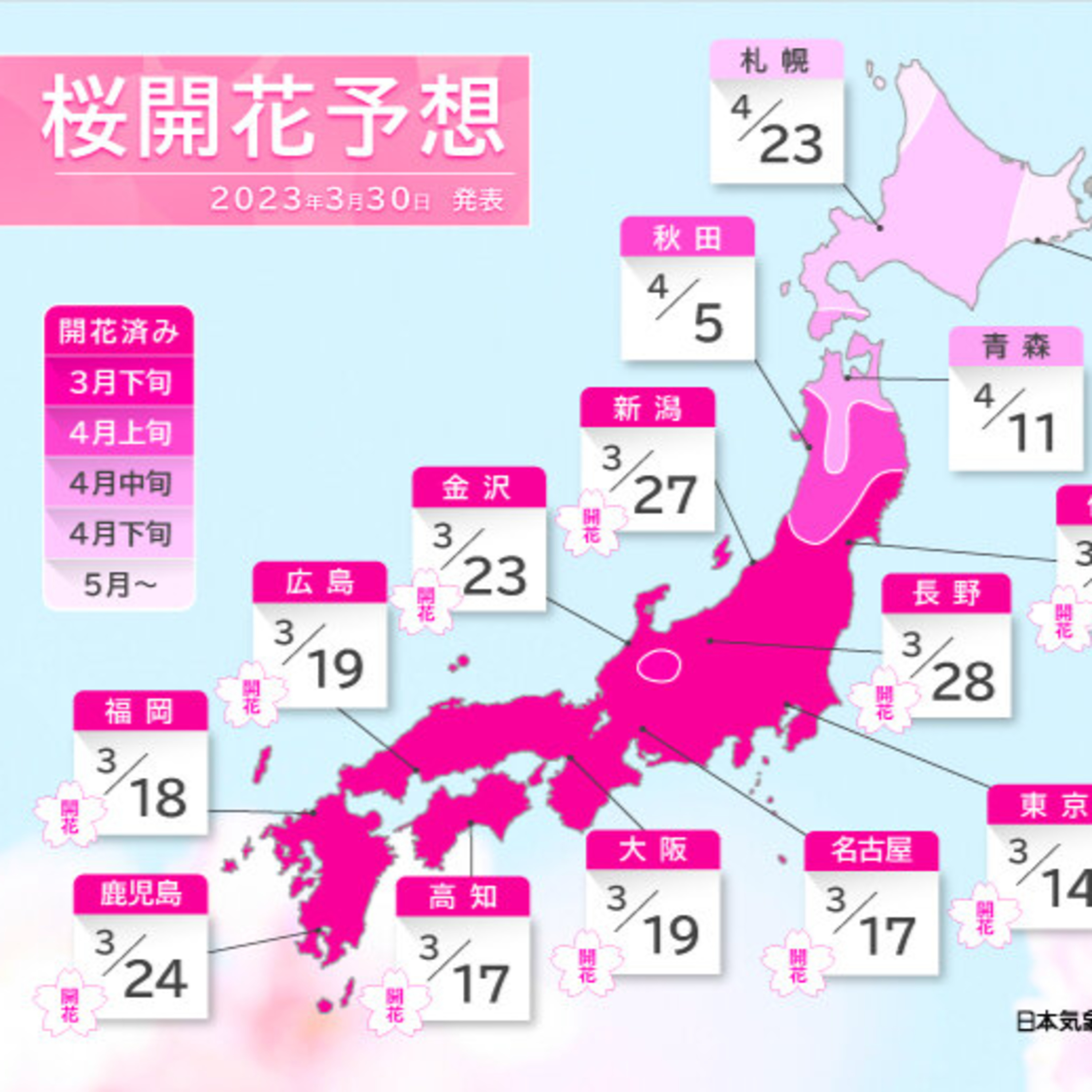 第12回｜2023年賞櫻大作戰：揭秘櫻花前線的神秘面紗！