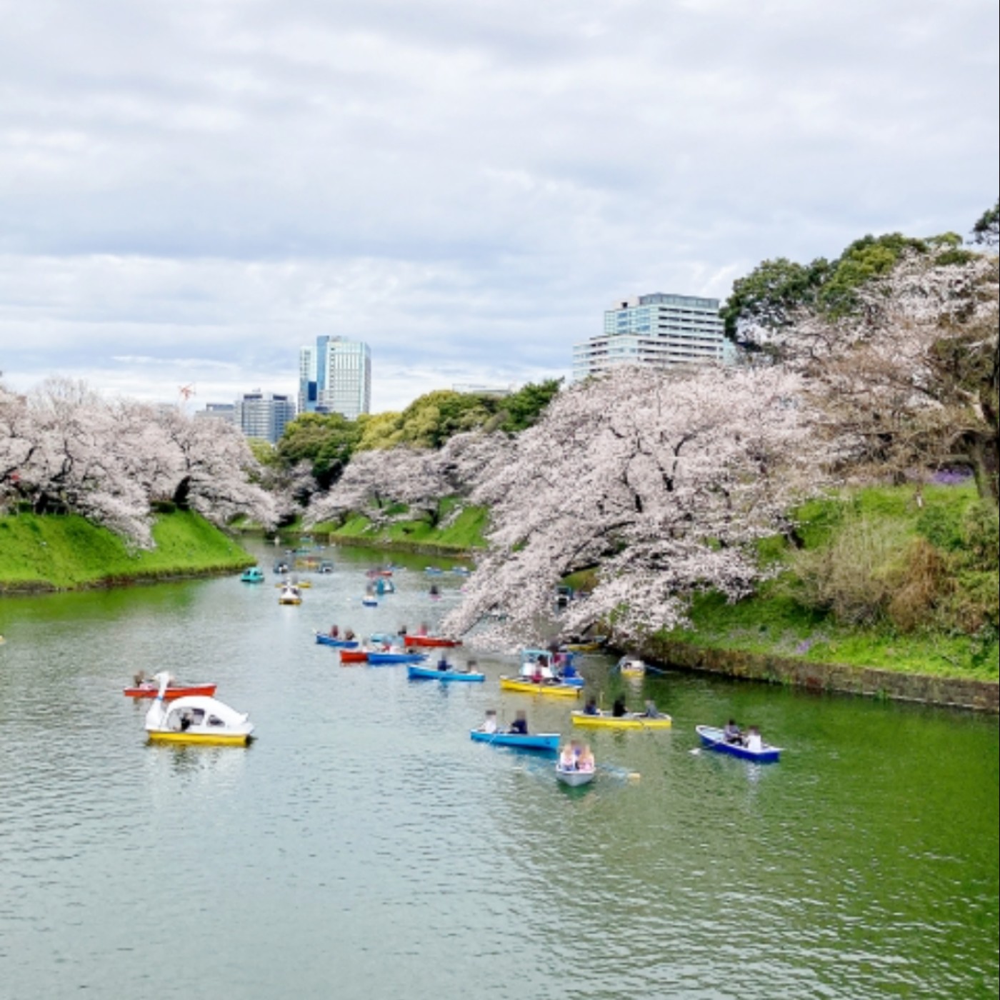 第276回｜東京櫻花景點 10選！加碼私房景點，帶你發現不一樣的東京！