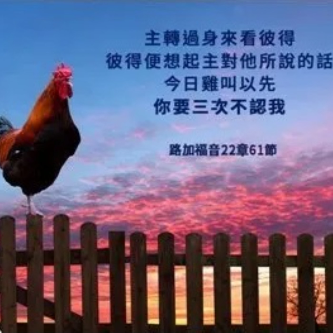 路加福音22章54節-62節 episode artwork