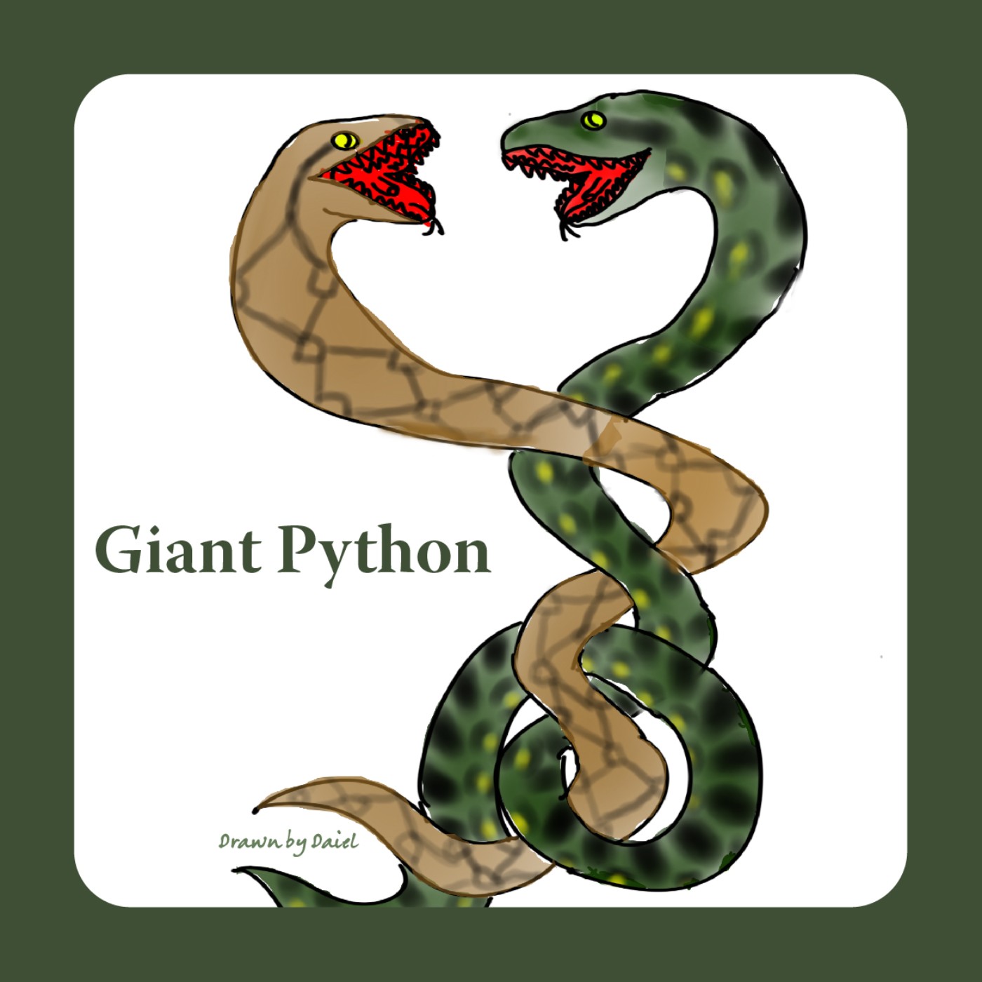 EP13 世界上最大的兩種巨蟒 Giant Python
