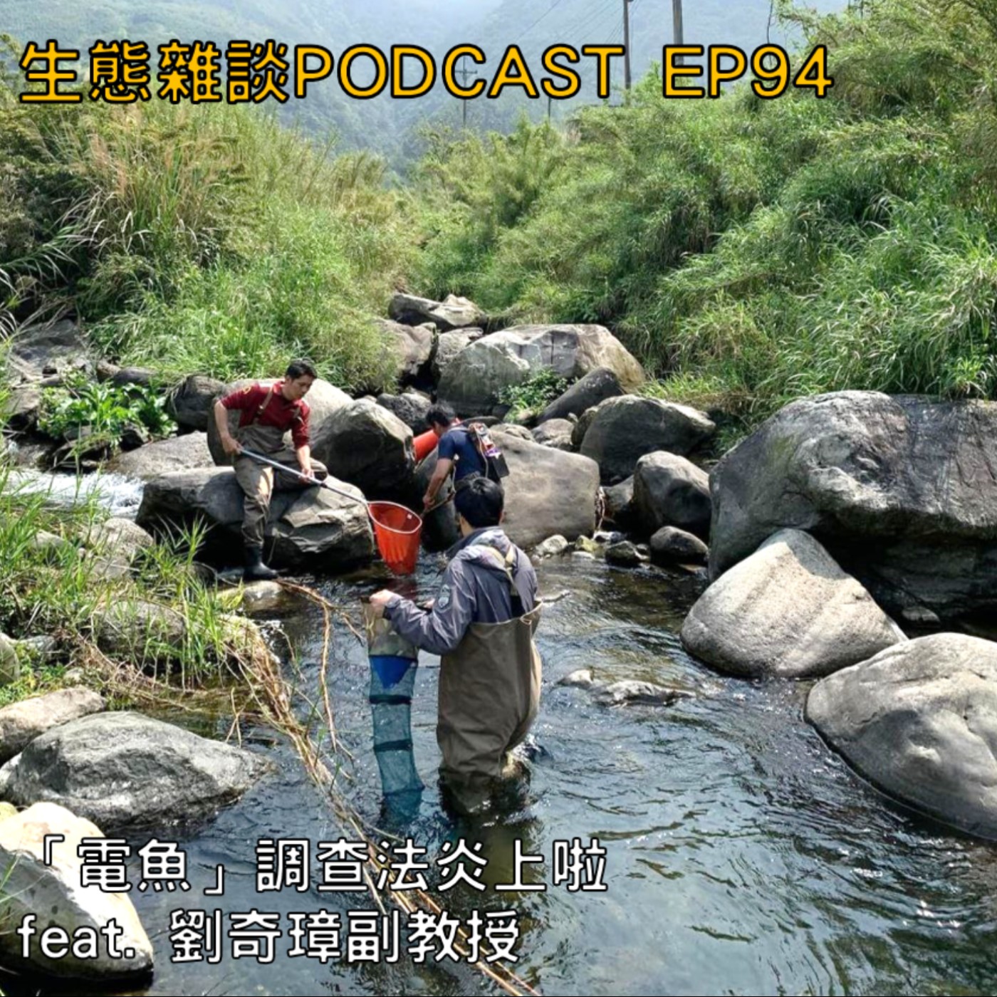EP94【生態新聞】- 「電魚」調查法炎上啦 feat. 劉奇璋副教授