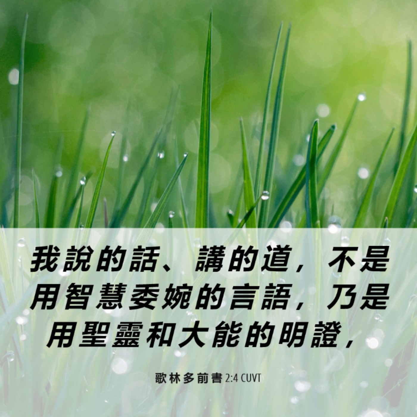 哥林多前書1:26~2:5 episode artwork