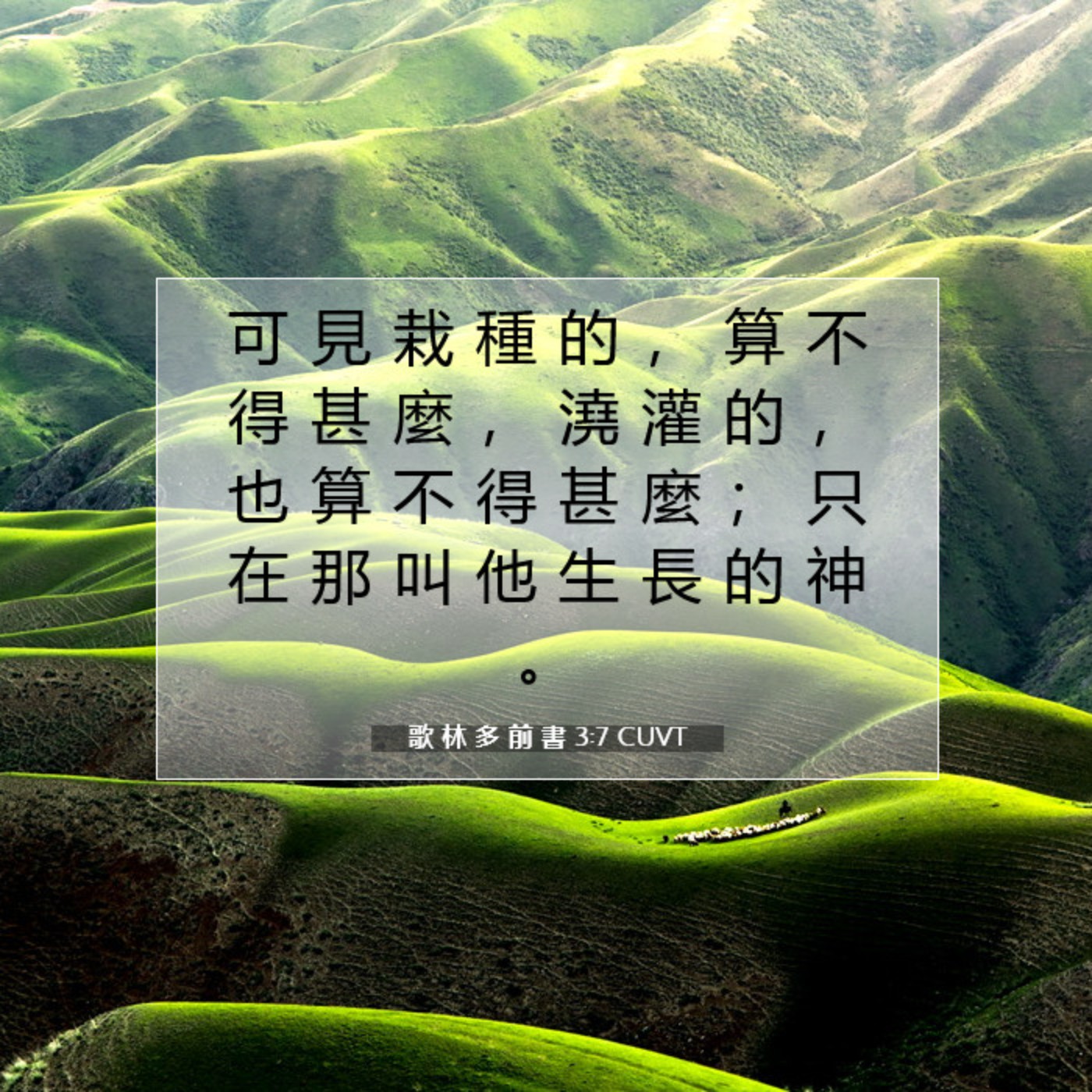哥林多前書 第三章1-8節 episode artwork